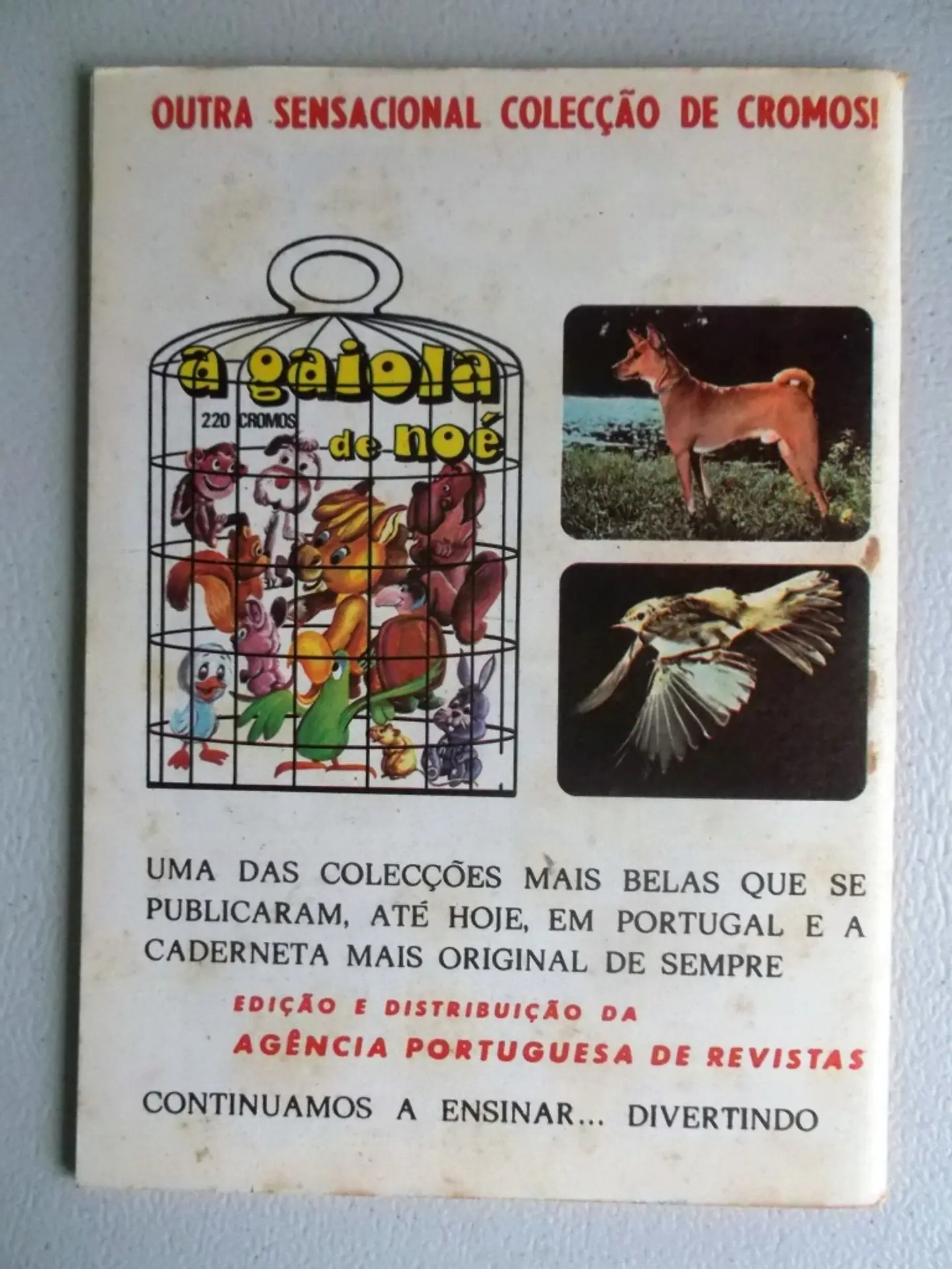 Condor 282 2