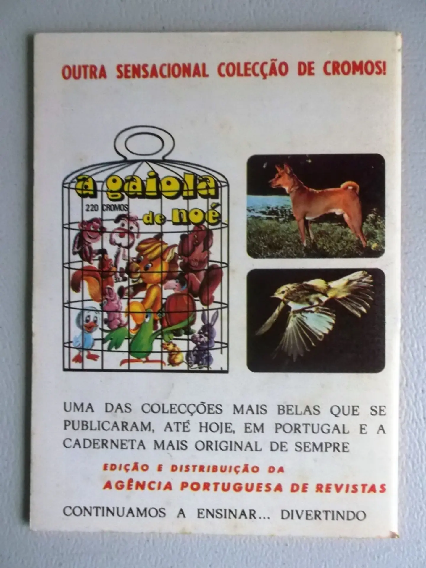 Condor 283 2