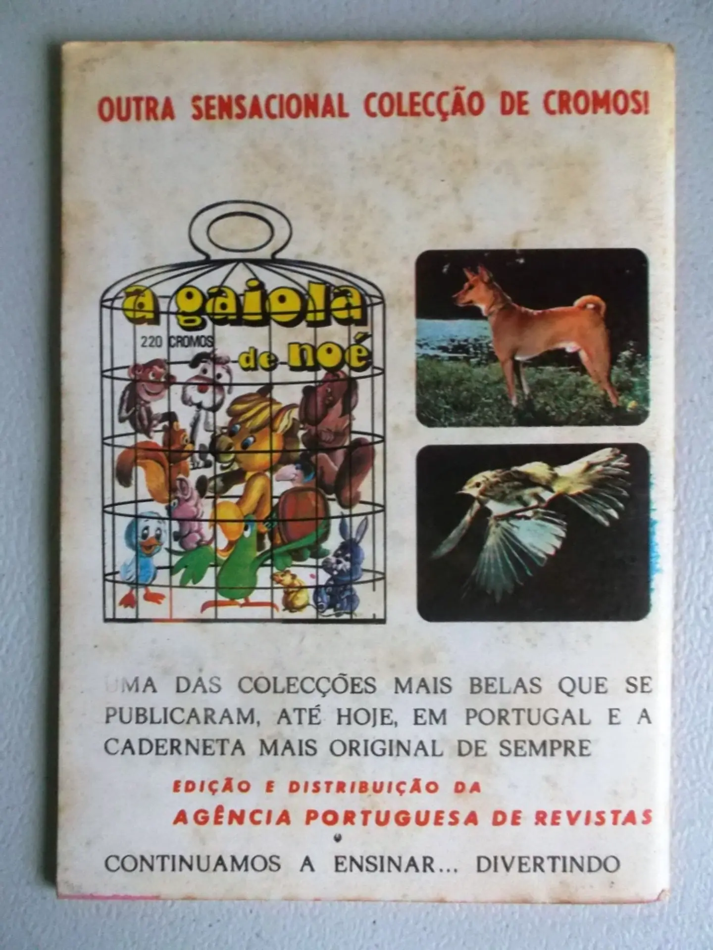 Condor 284 2