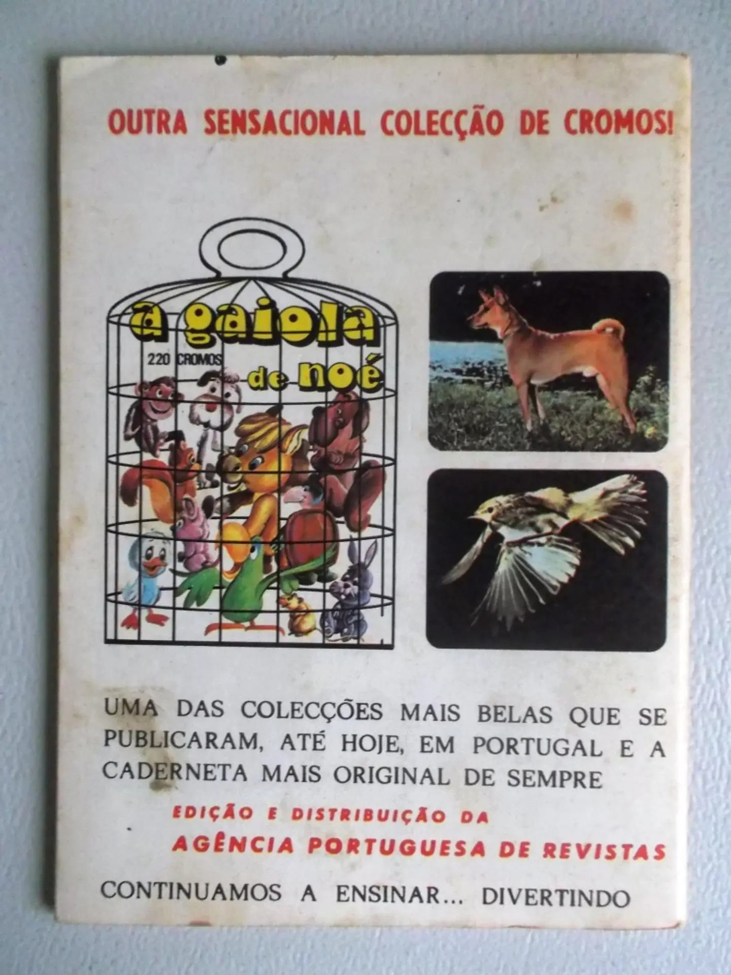 Condor 285 2