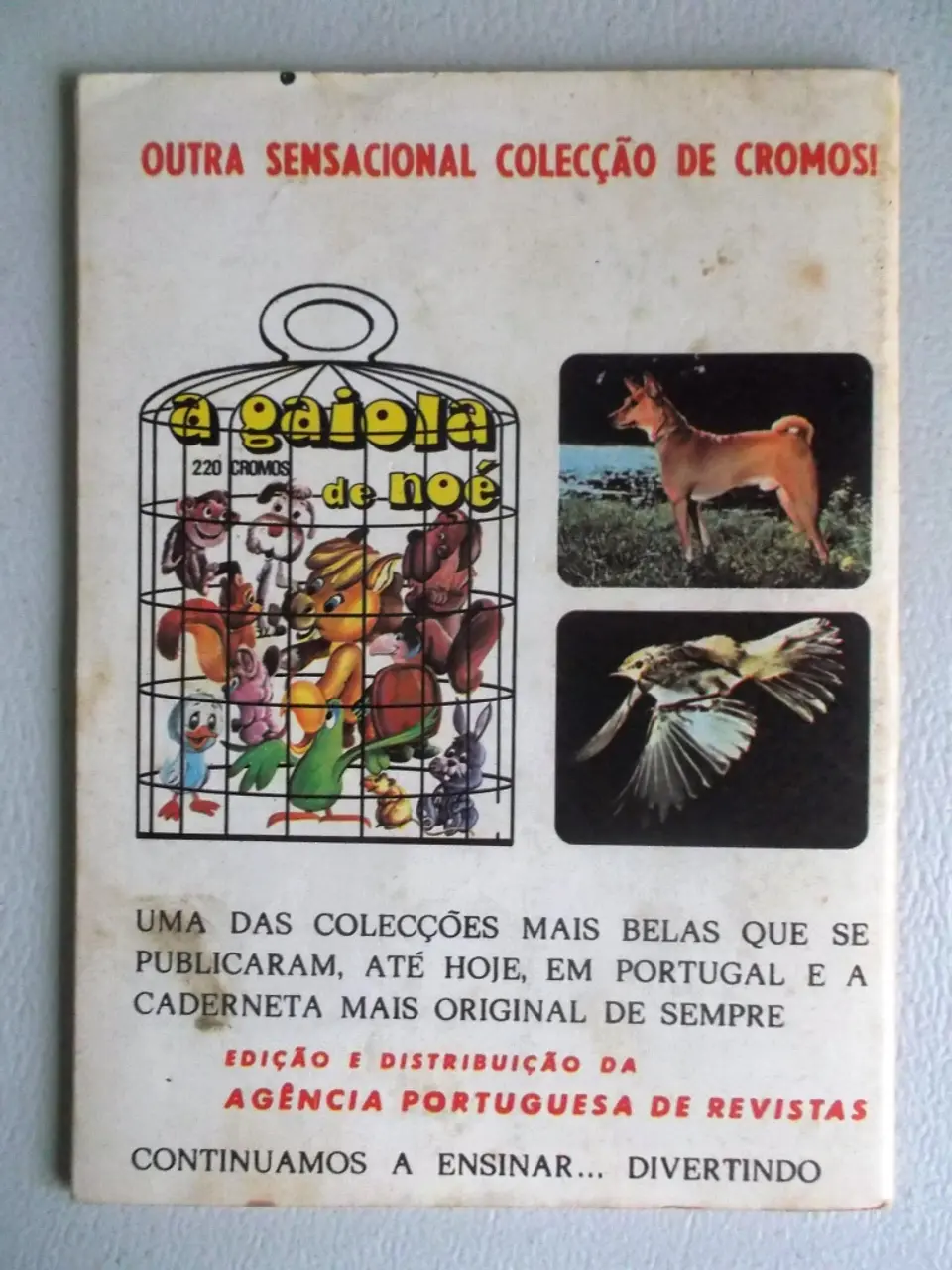 Condor 285 2