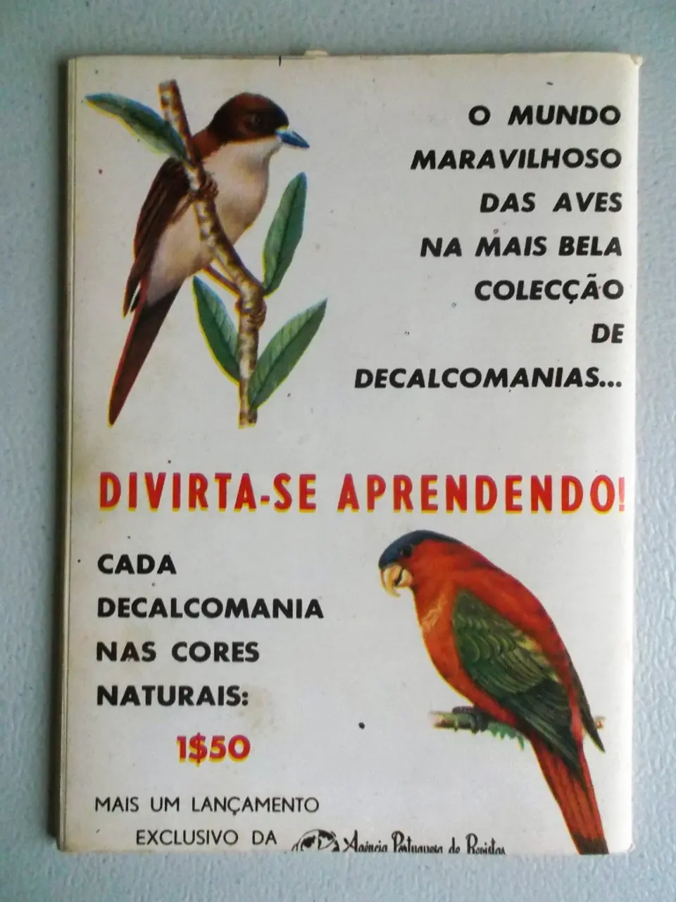 Condor 267 2