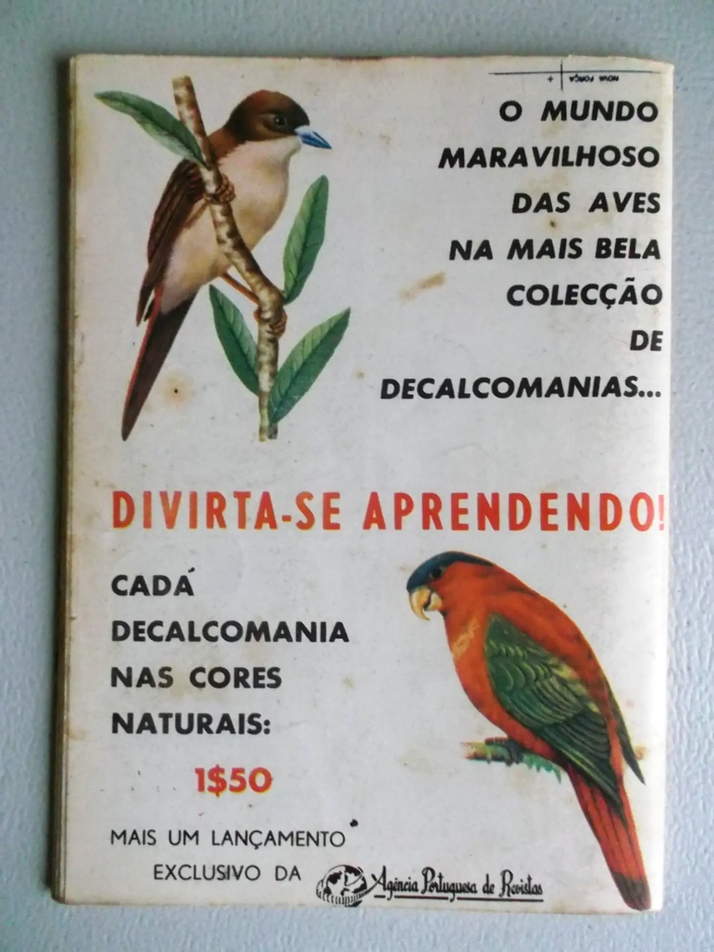 Condor 268 2