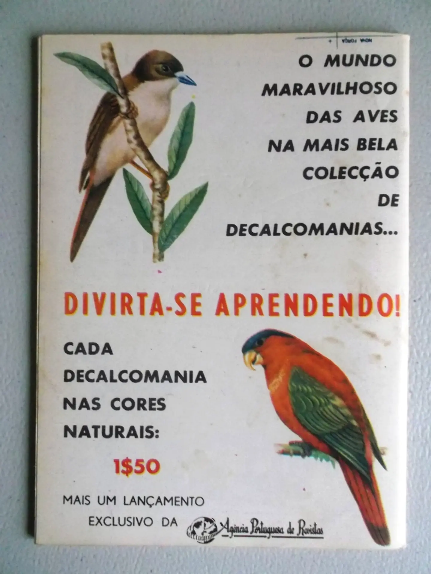 Condor 269 2