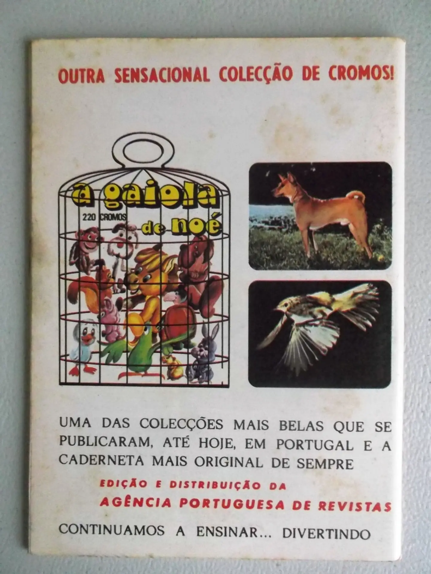 Condor 279 2