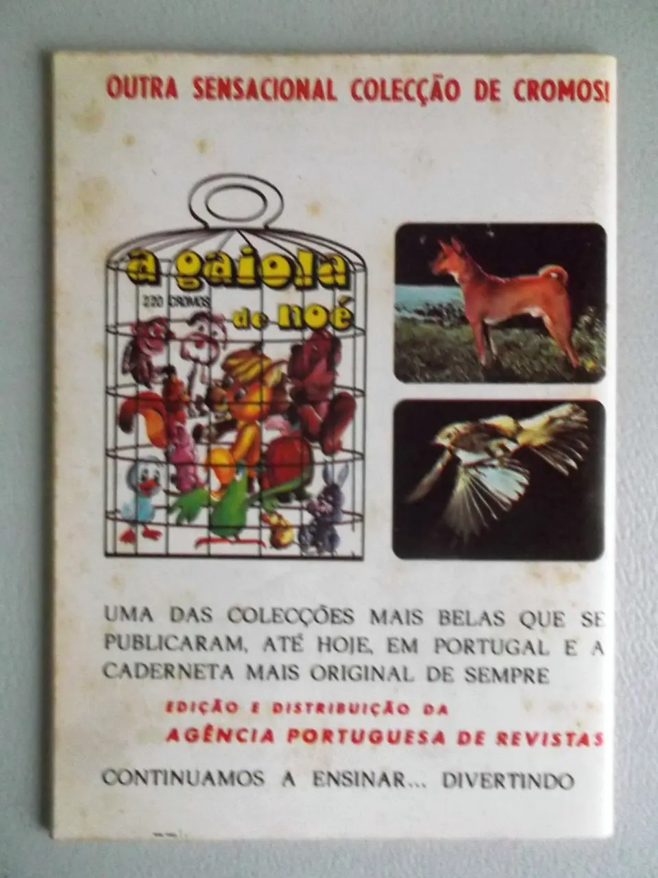 Condor 280 2