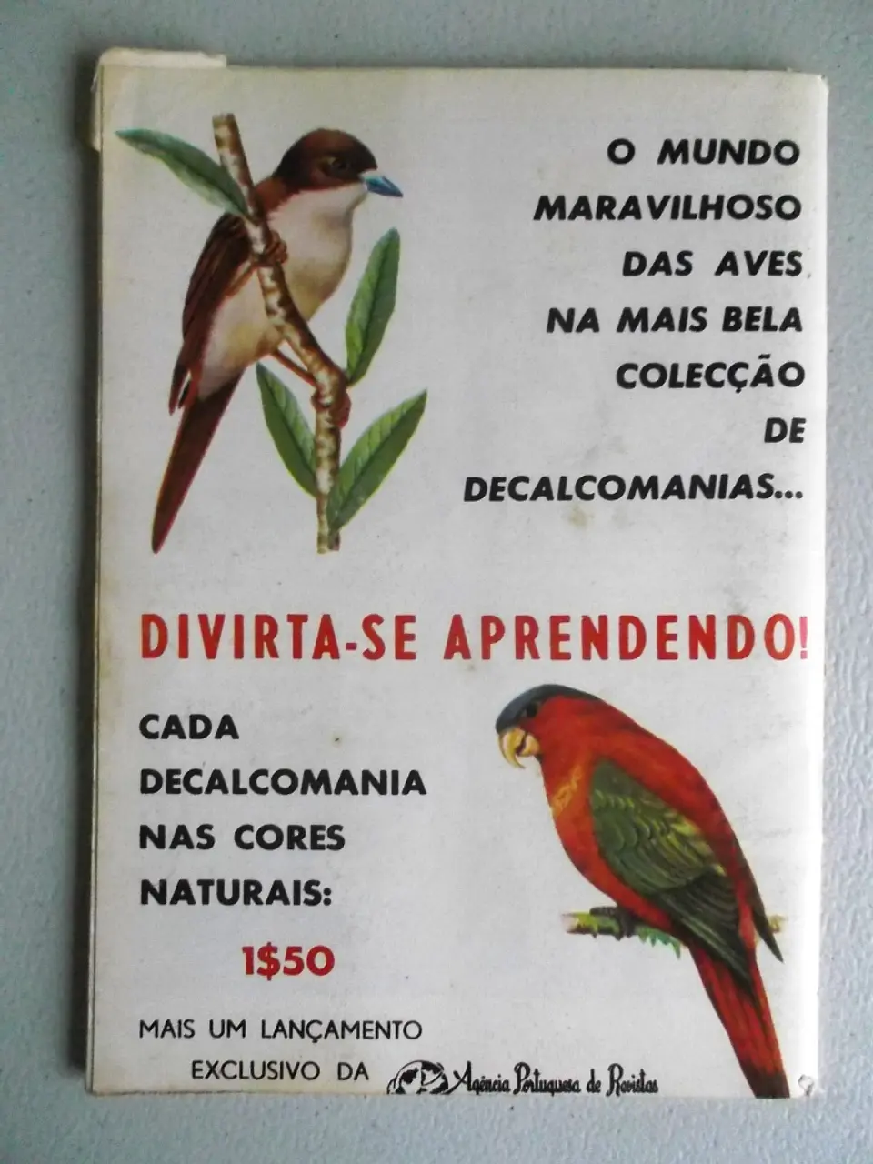Condor 257 2