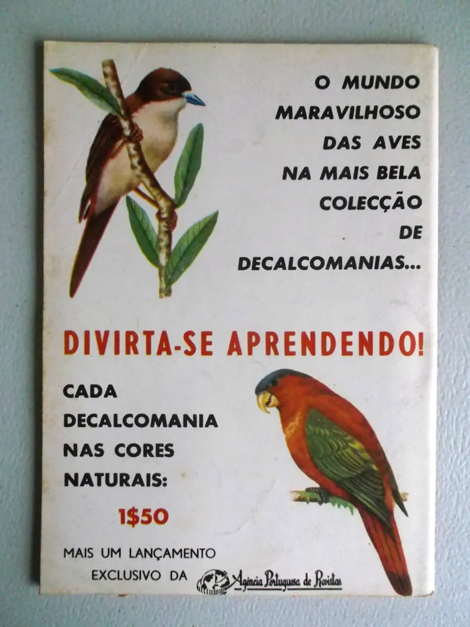 Condor 256 2
