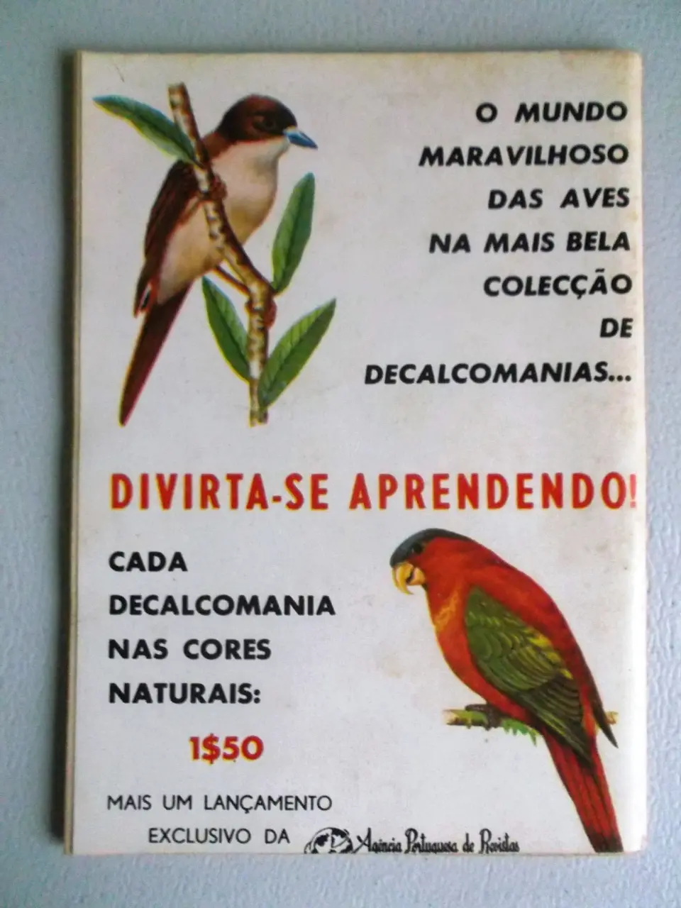 Condor 255 2