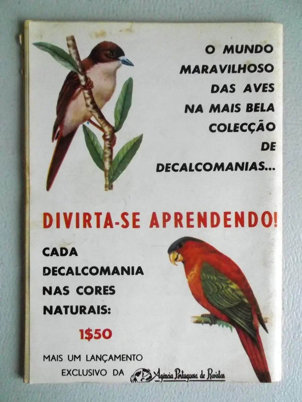 Condor 254 2
