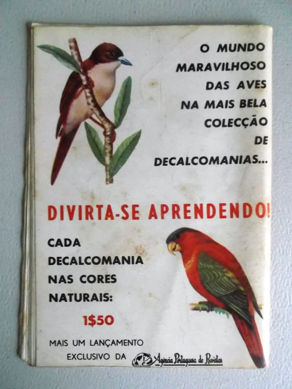 Condor 253 2