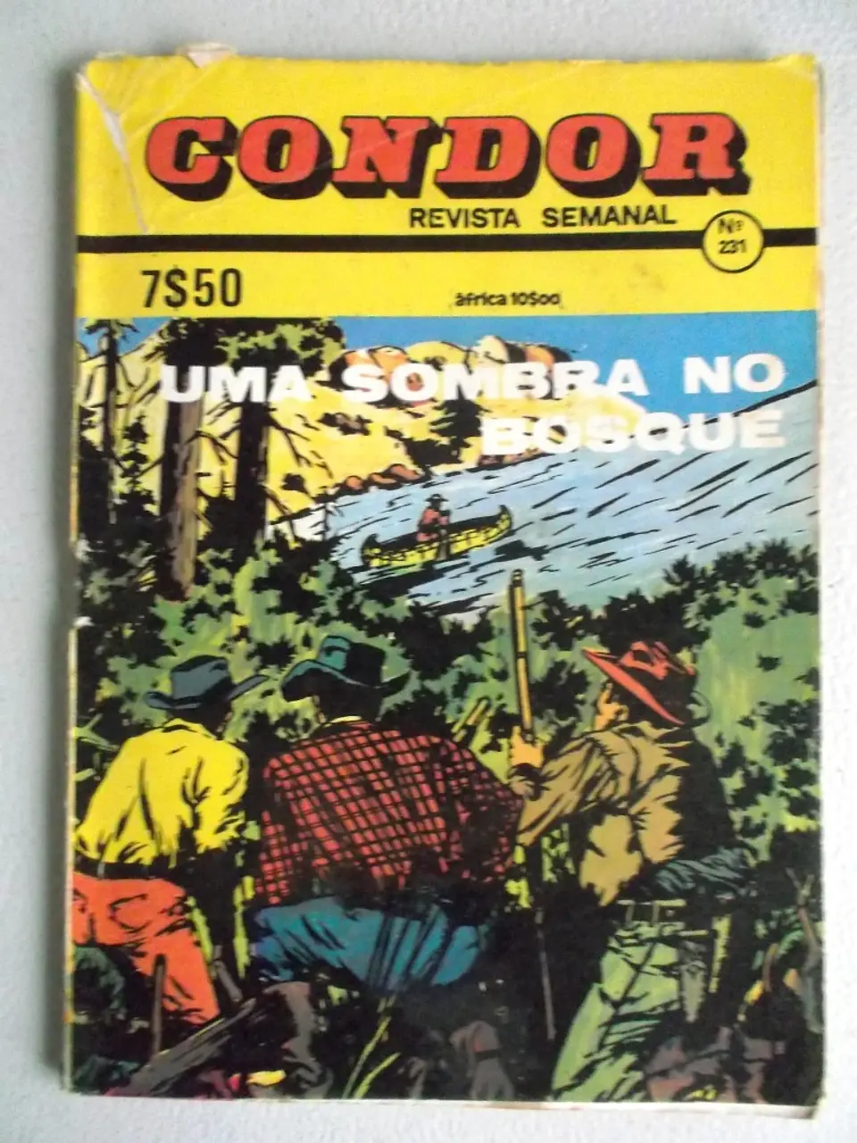 Condor 231 1