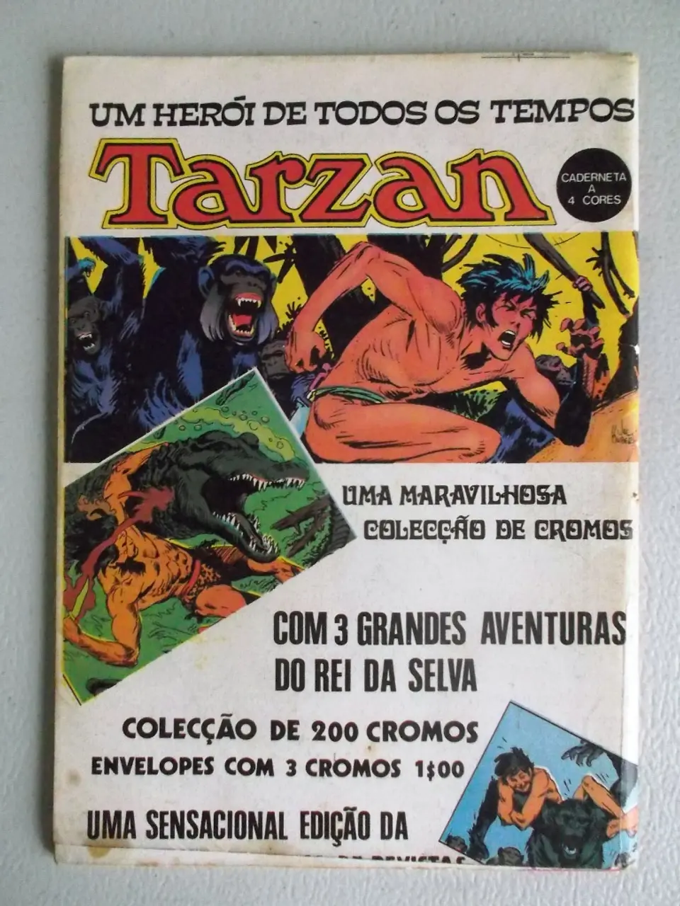 Condor 231 2