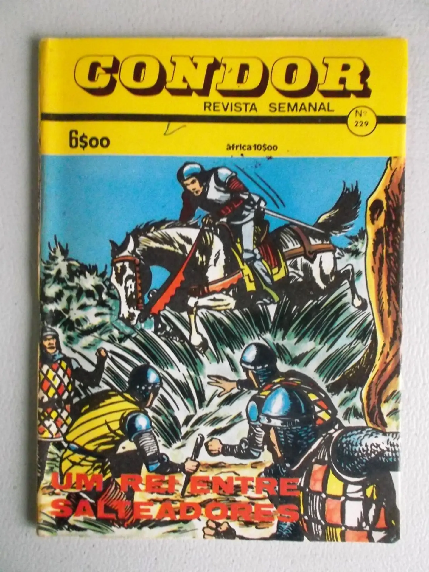 Condor 229 1