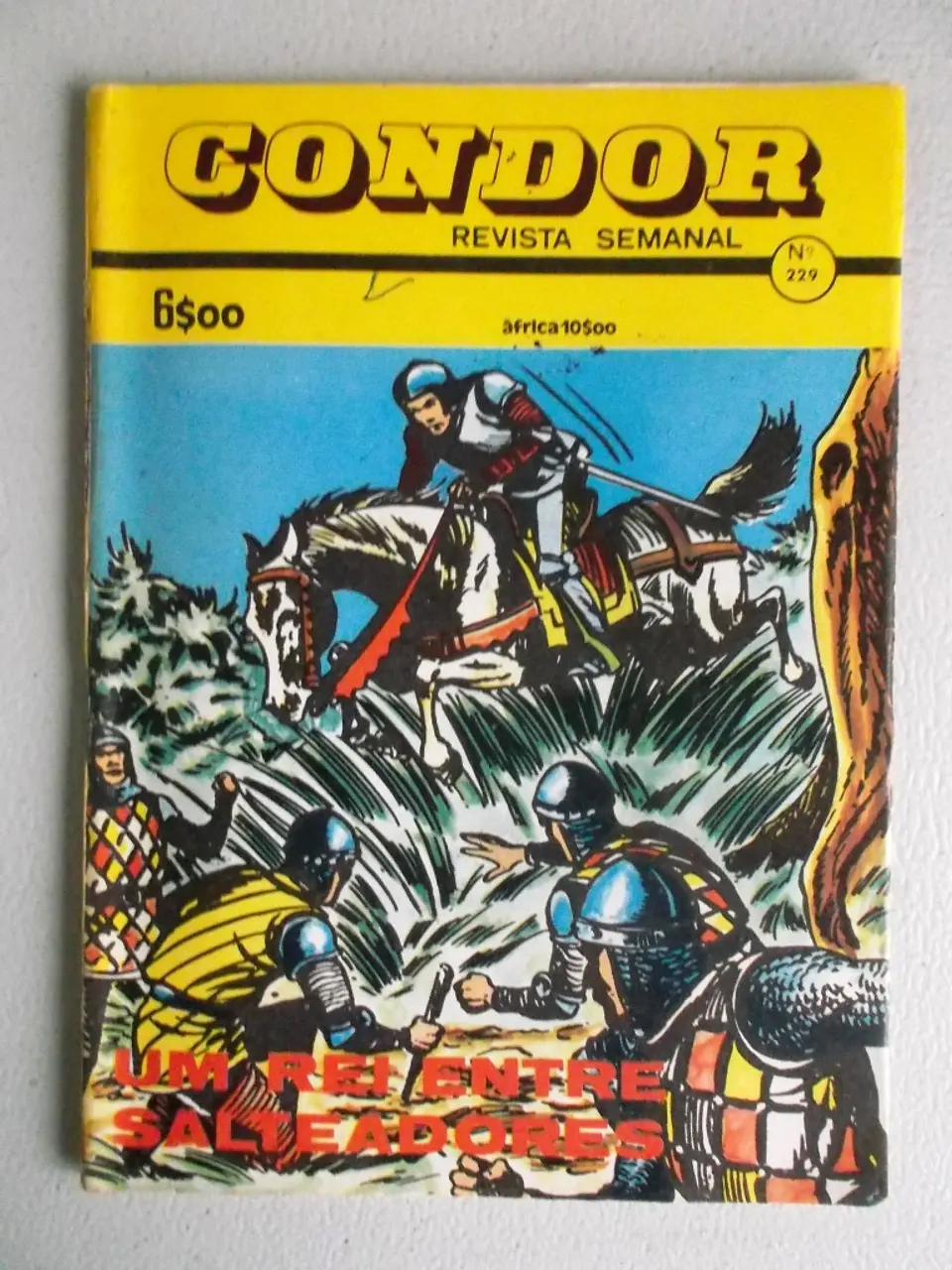 Condor 229 1