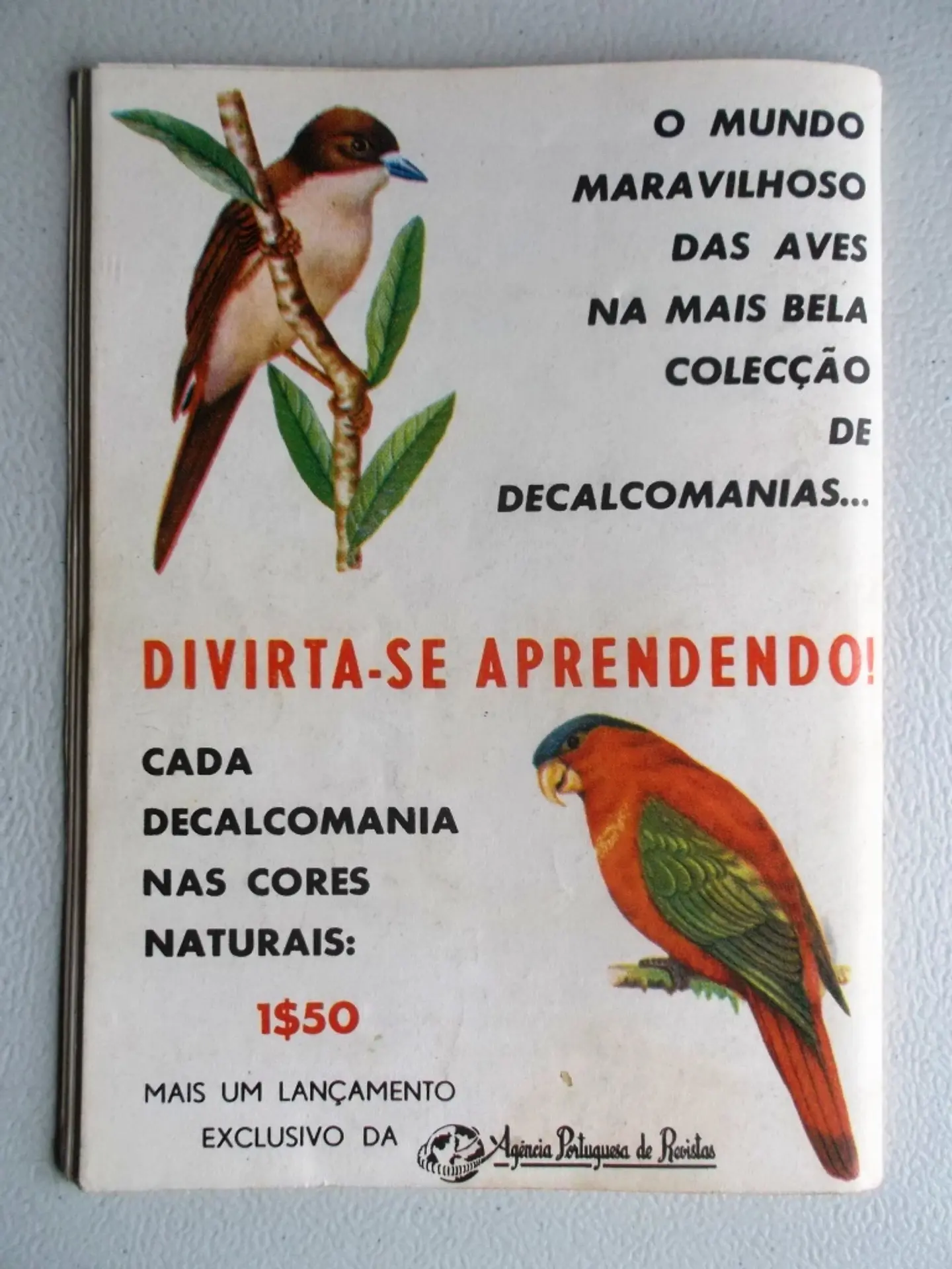 Condor 240 2