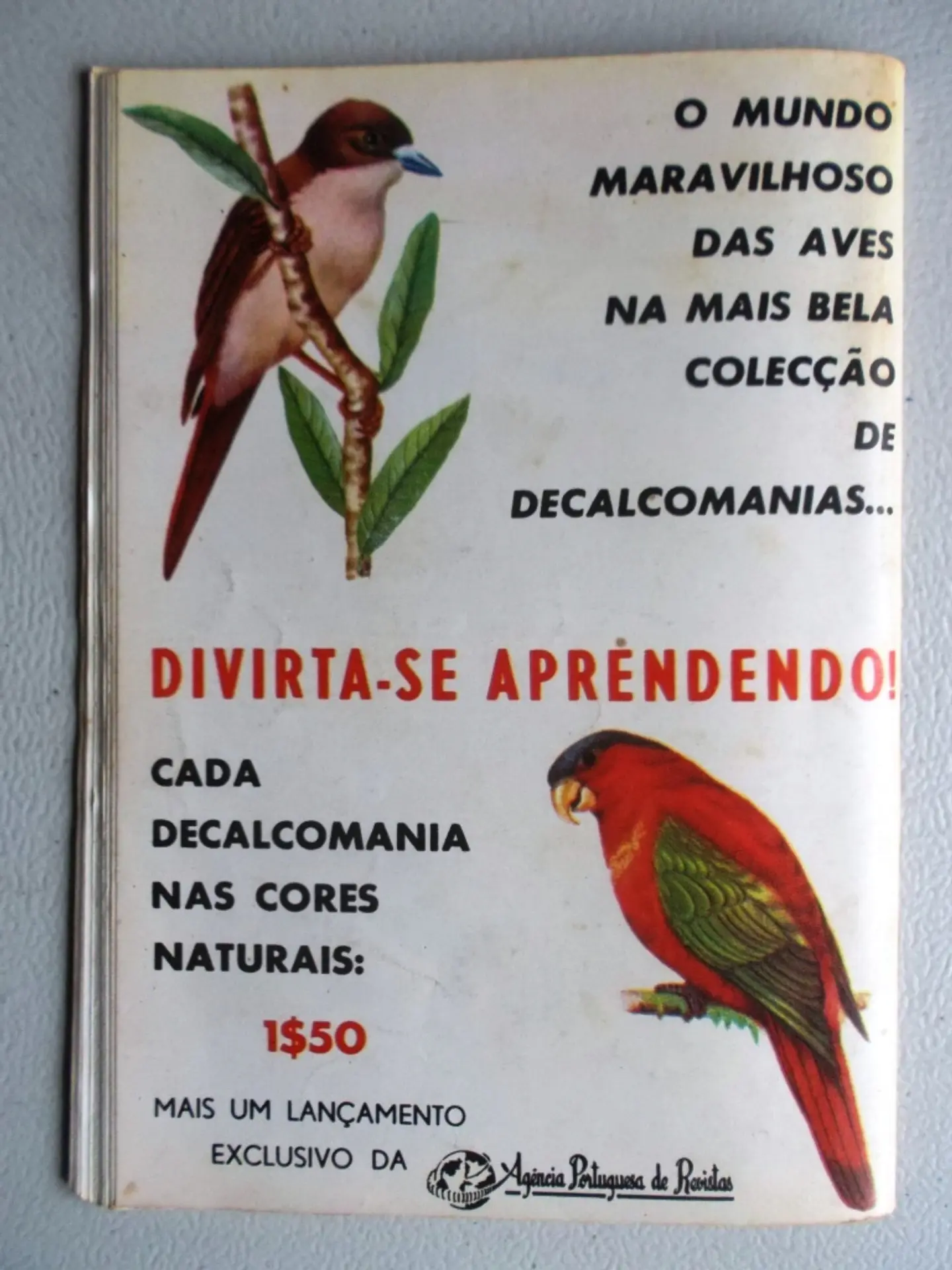Condor 248 2