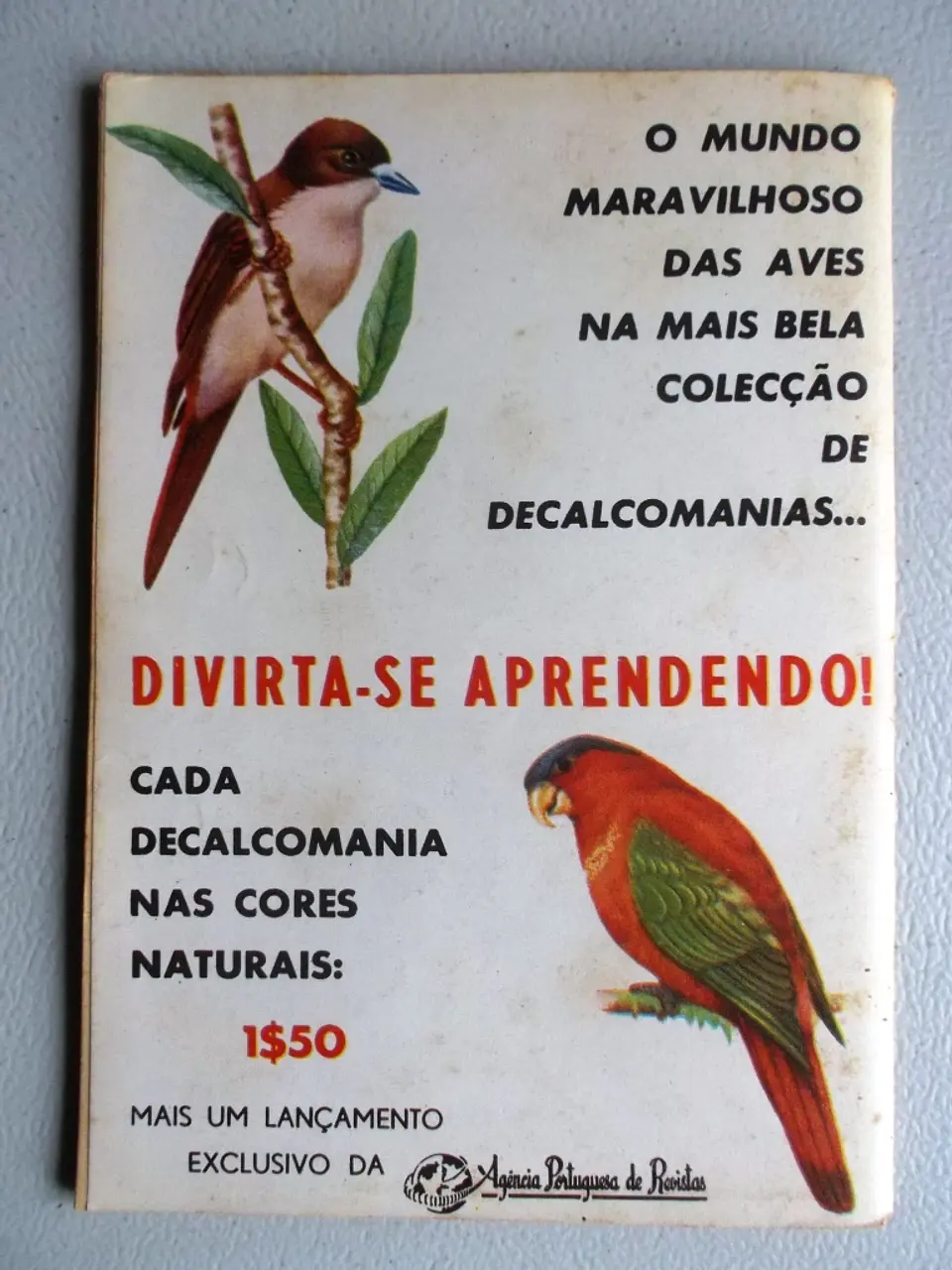 Condor 250 2