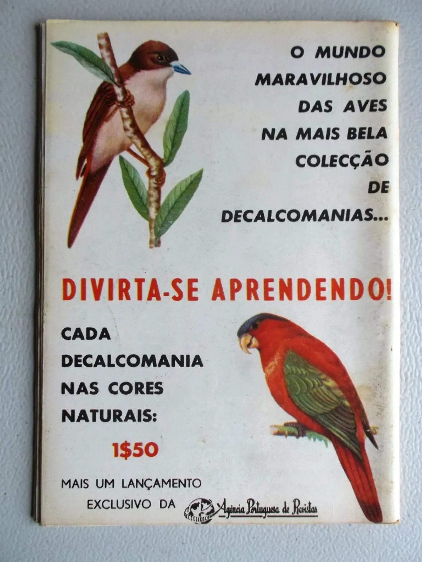 Condor 252 2