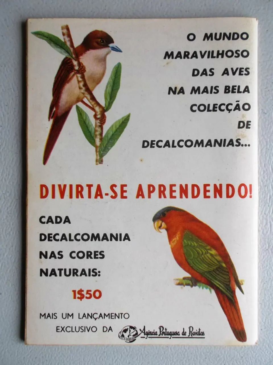 Condor 260 2