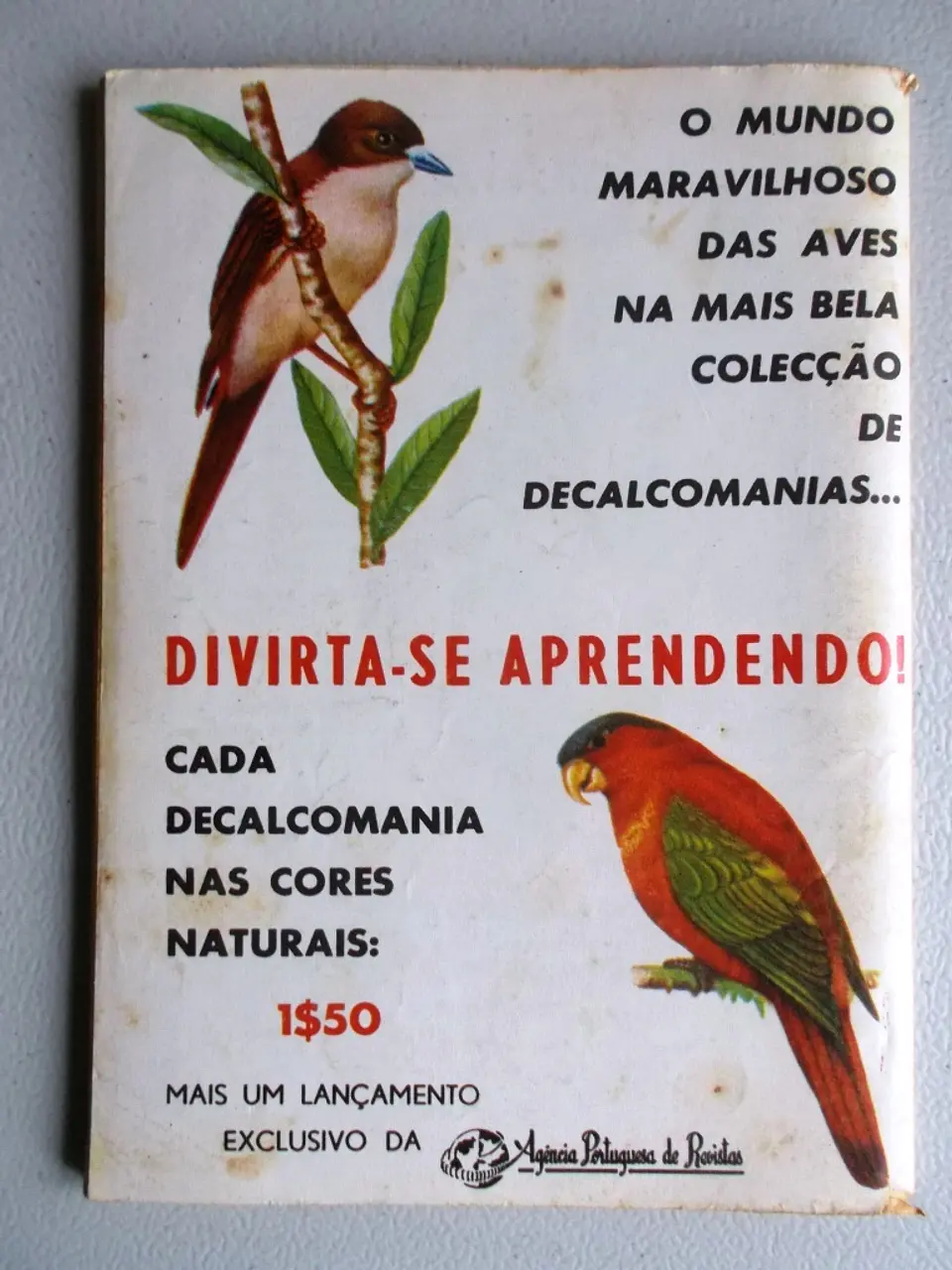 Condor 262 2