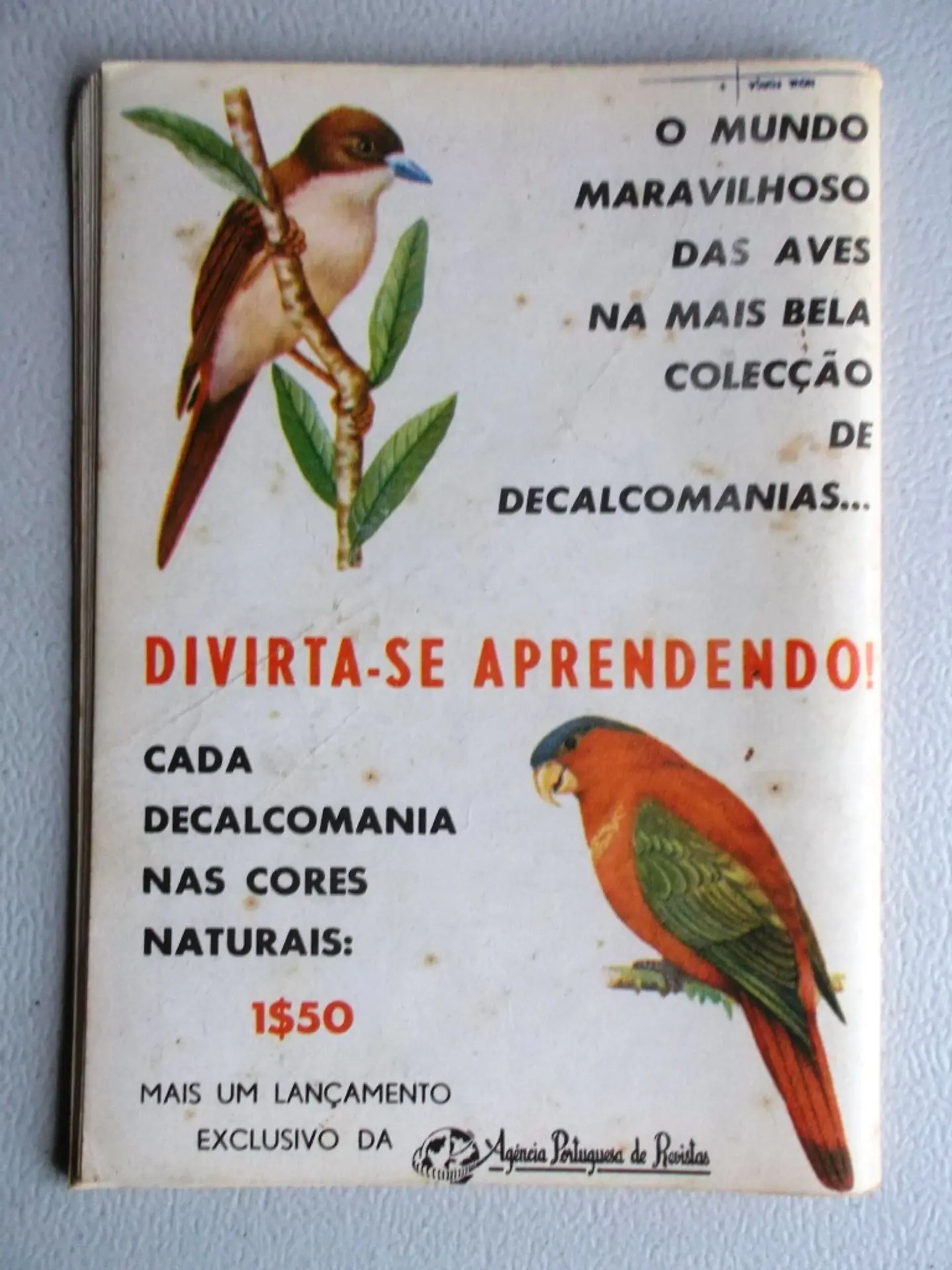 Condor 264 2