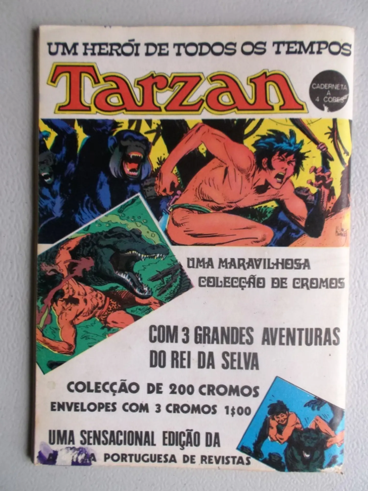 Condor 208 2