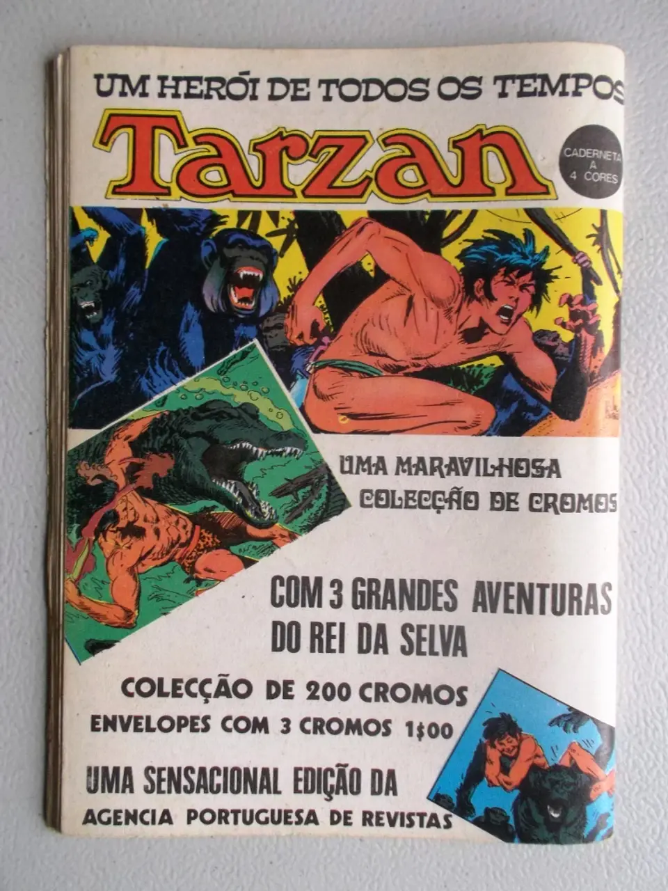 Condor 213 2