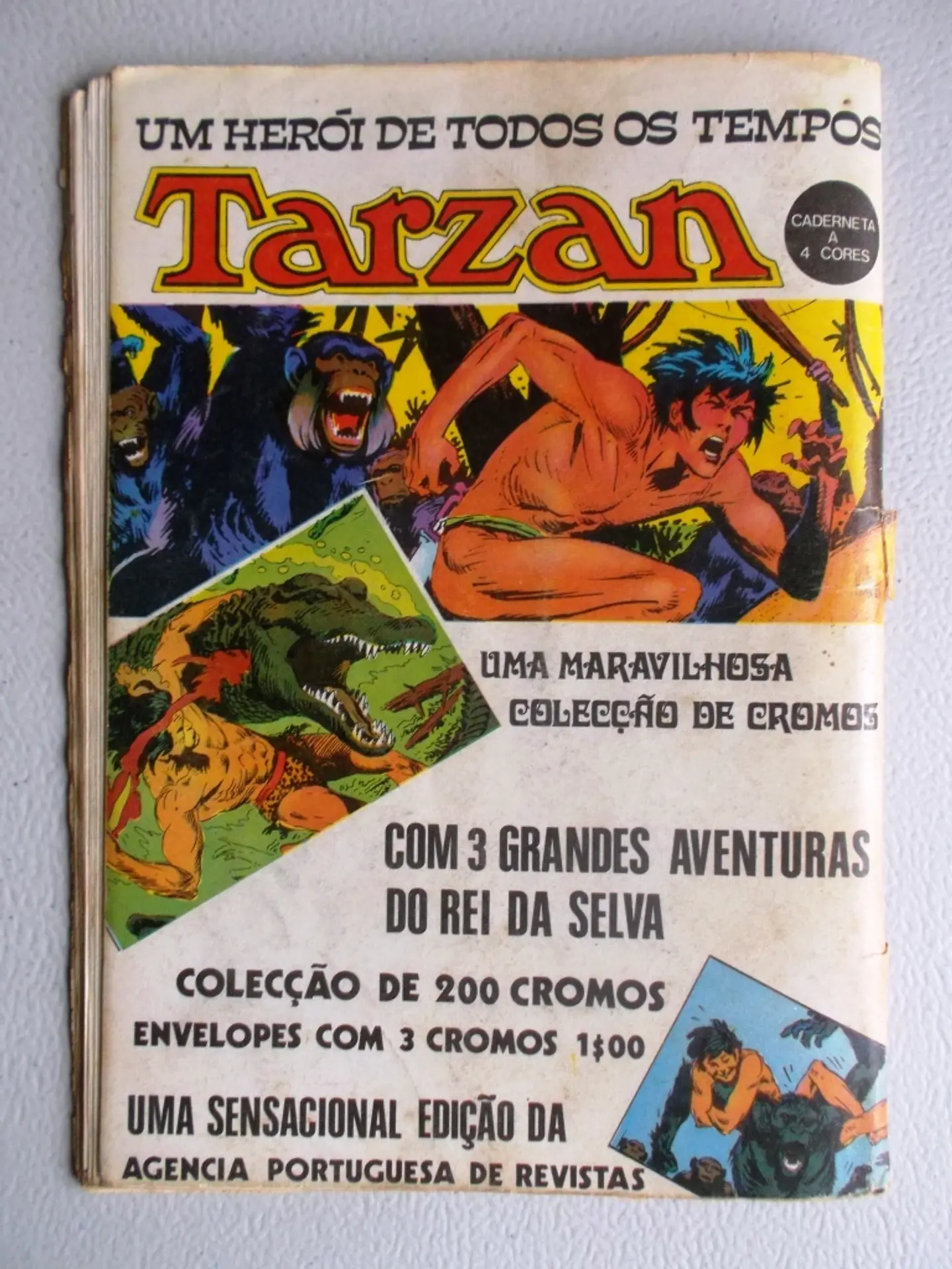 Condor 217 2