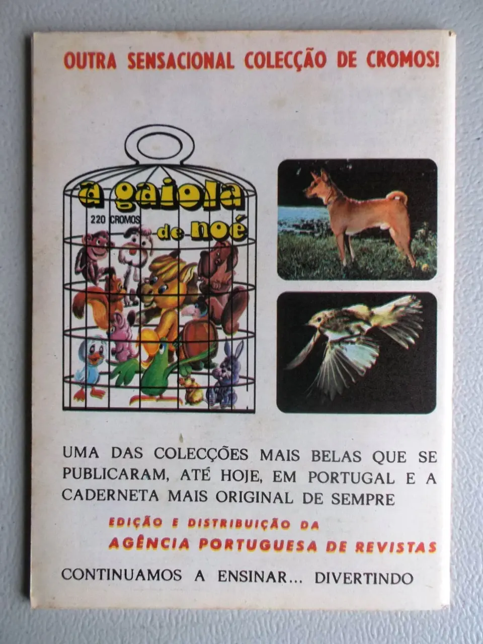 Condor 286 2