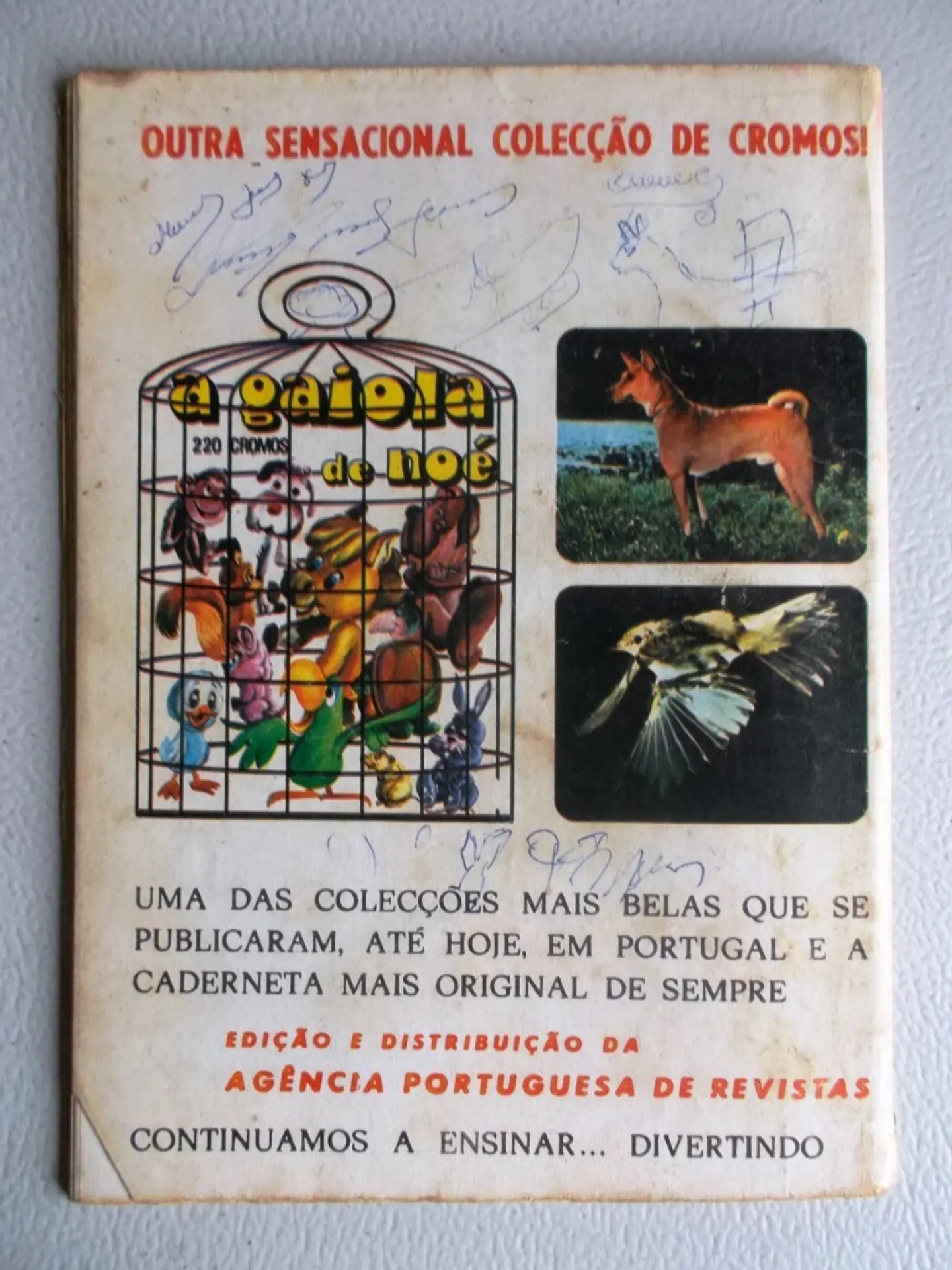 Condor 287 2