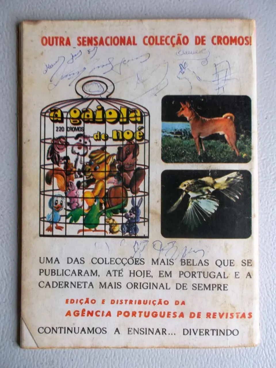 Condor 287 2