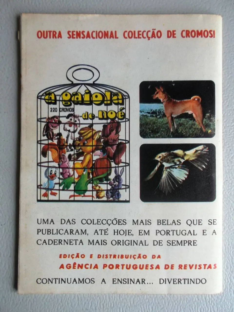 Condor 288 2