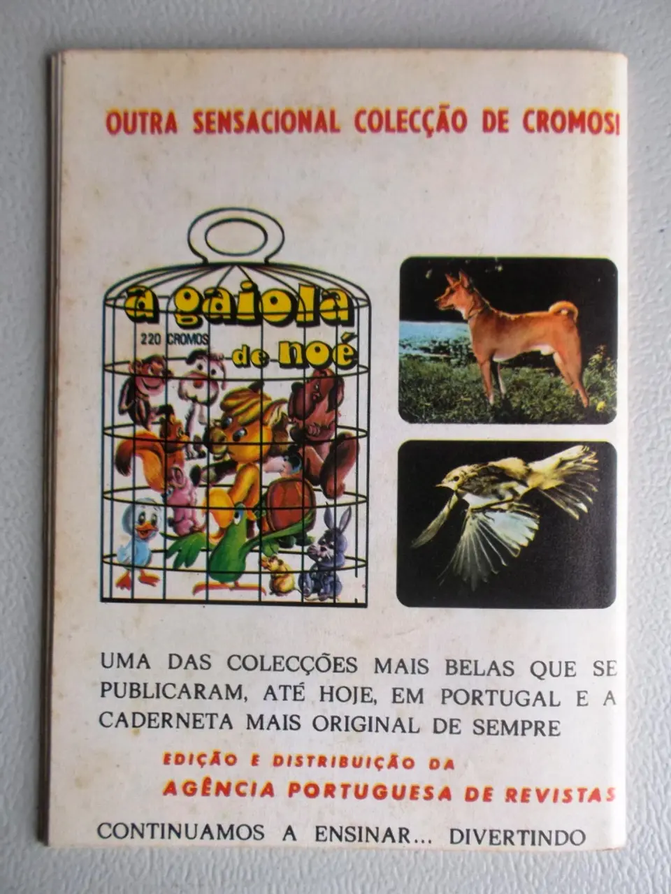 Condor 289 2