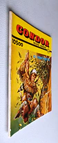 Condor 289 - thumbnail 3
