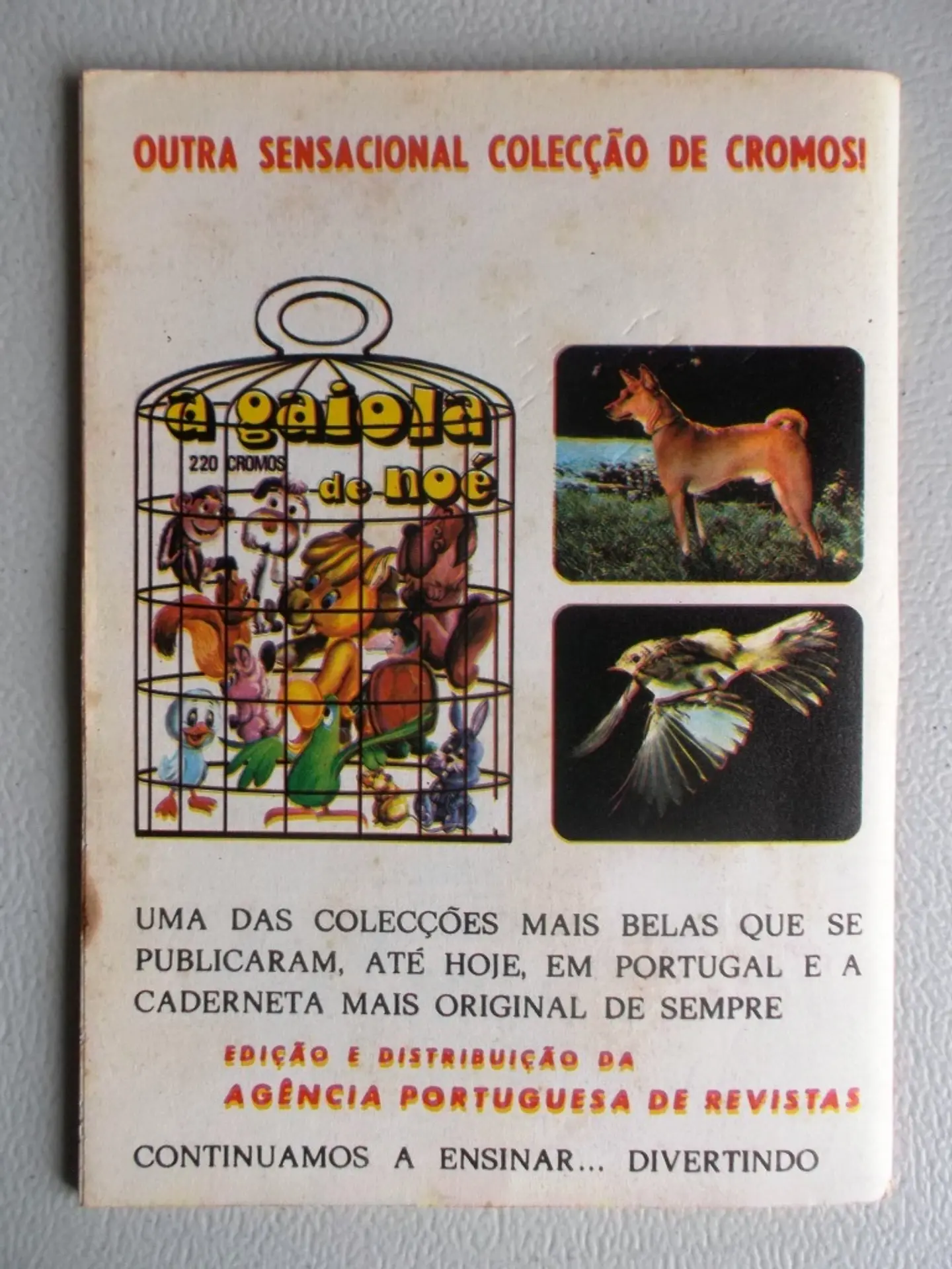 Condor 290 2