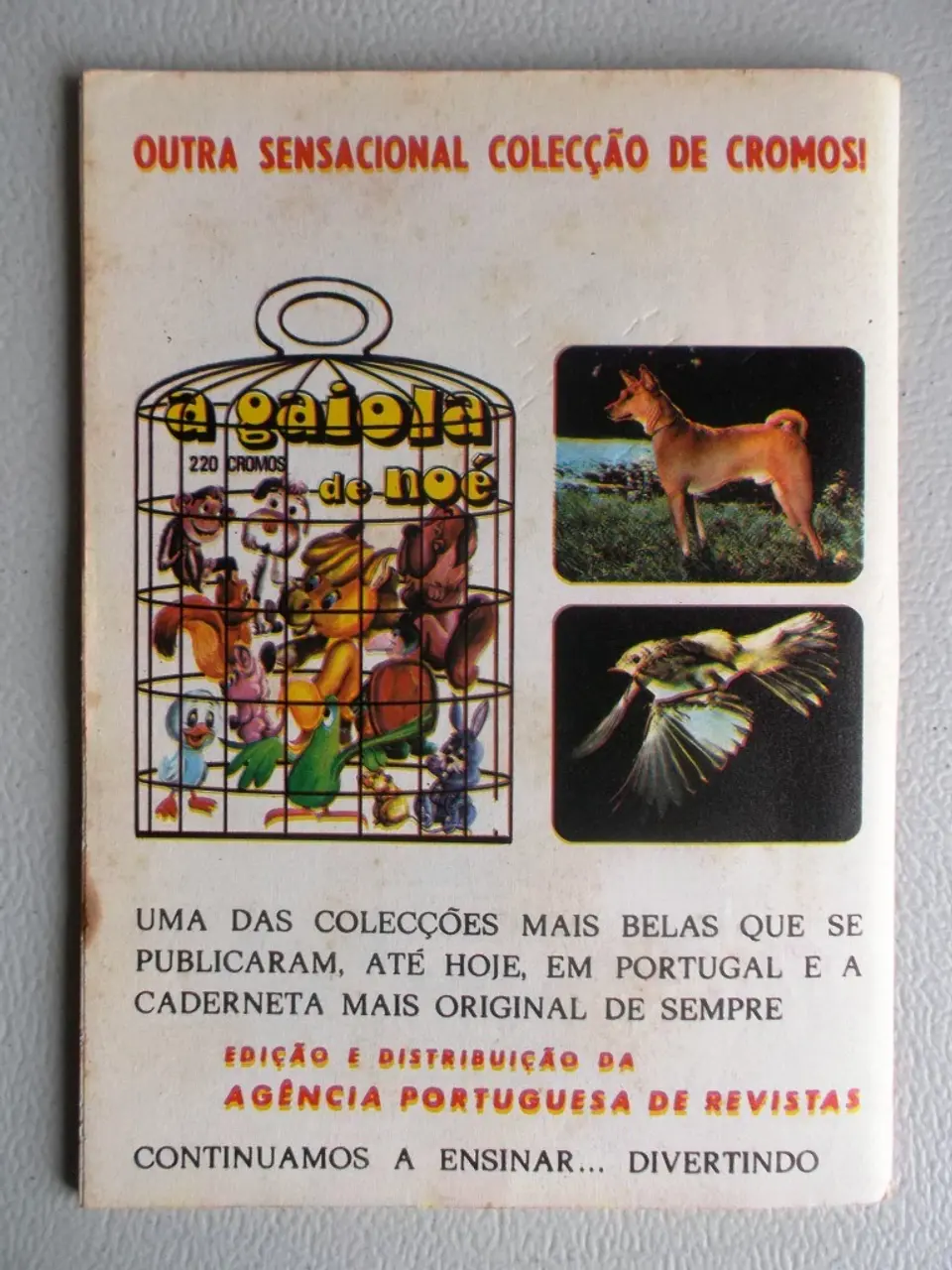 Condor 290 2