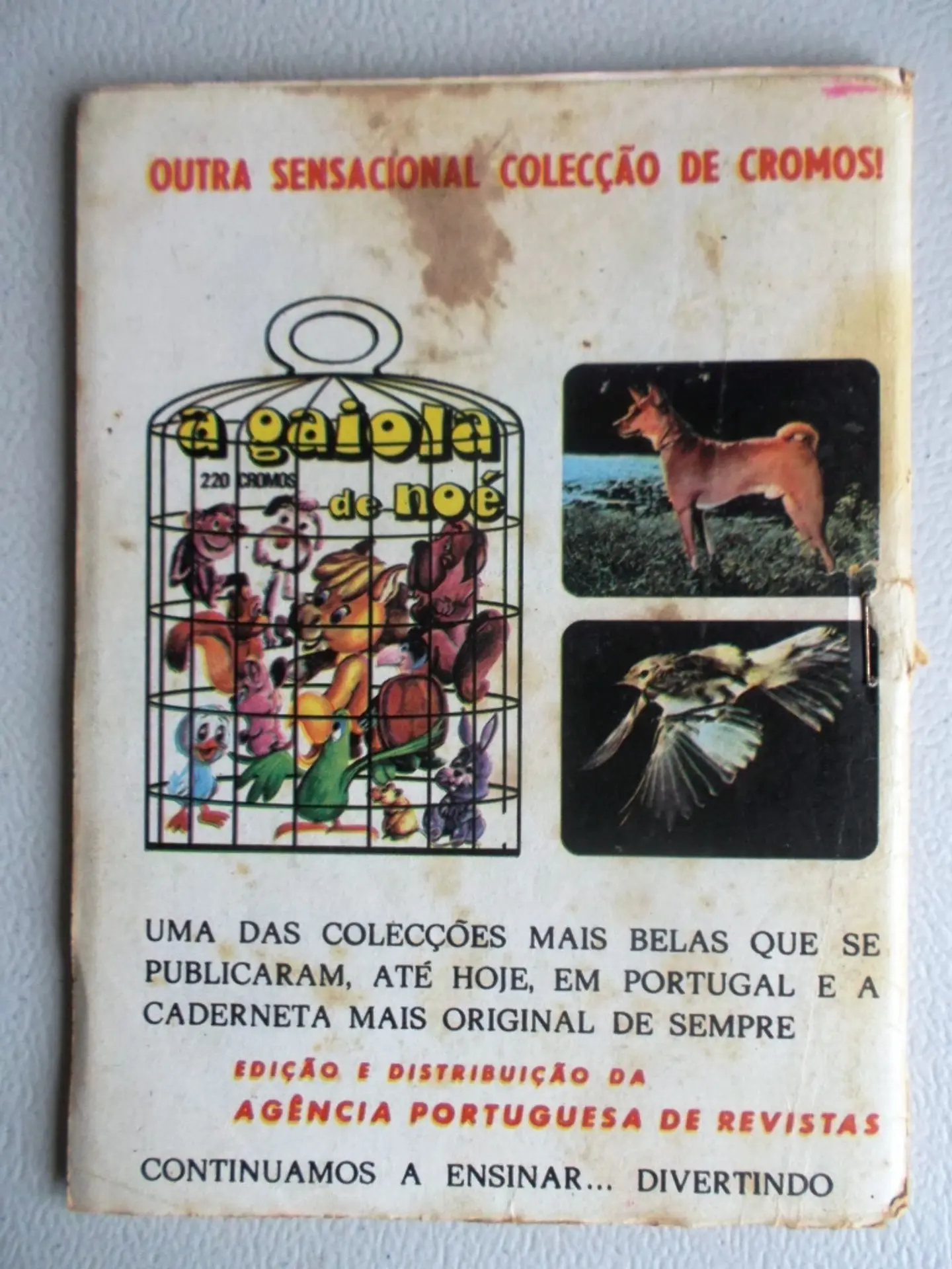 Condor 291 2