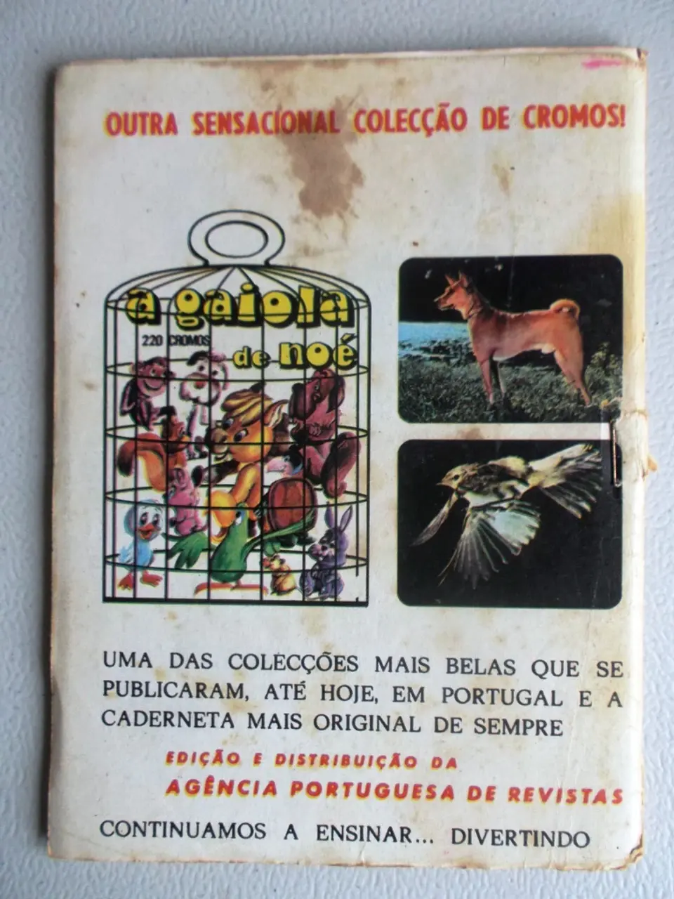 Condor 291 2