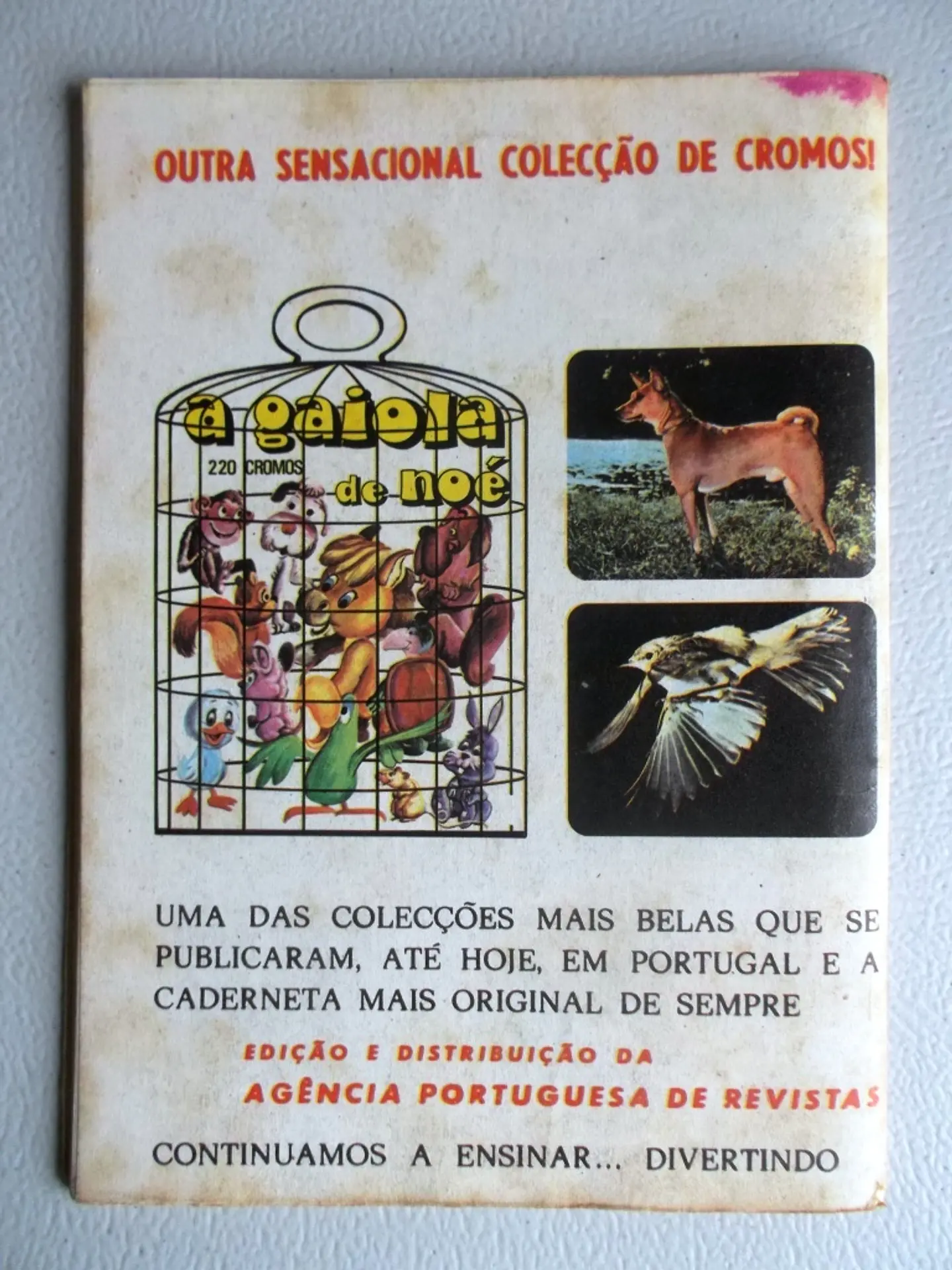 Condor 293 2