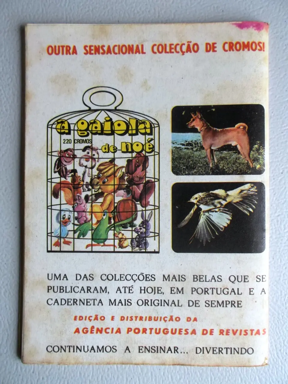 Condor 293 2