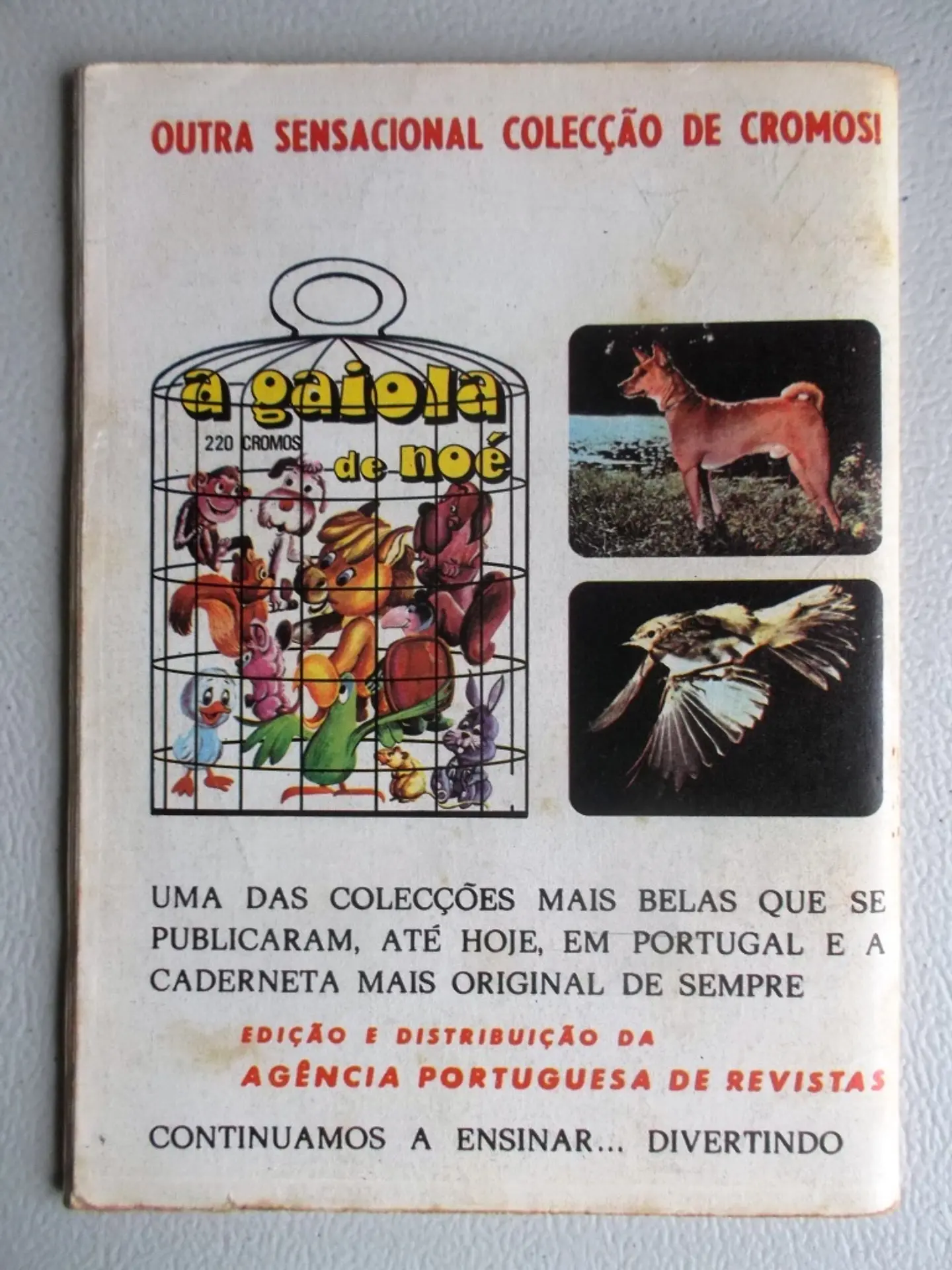 Condor 295 2