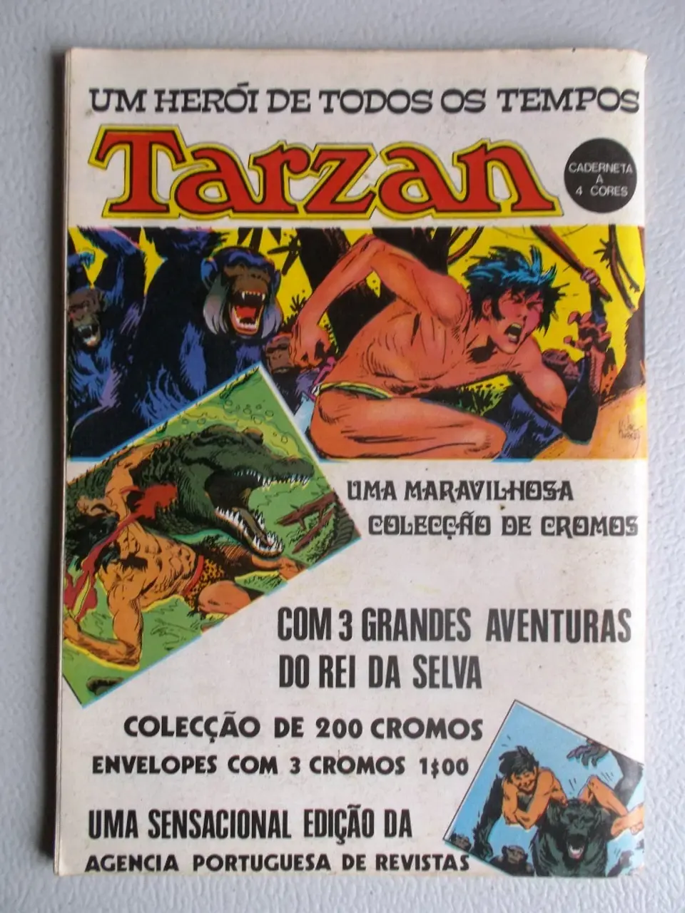 Condor 219 2