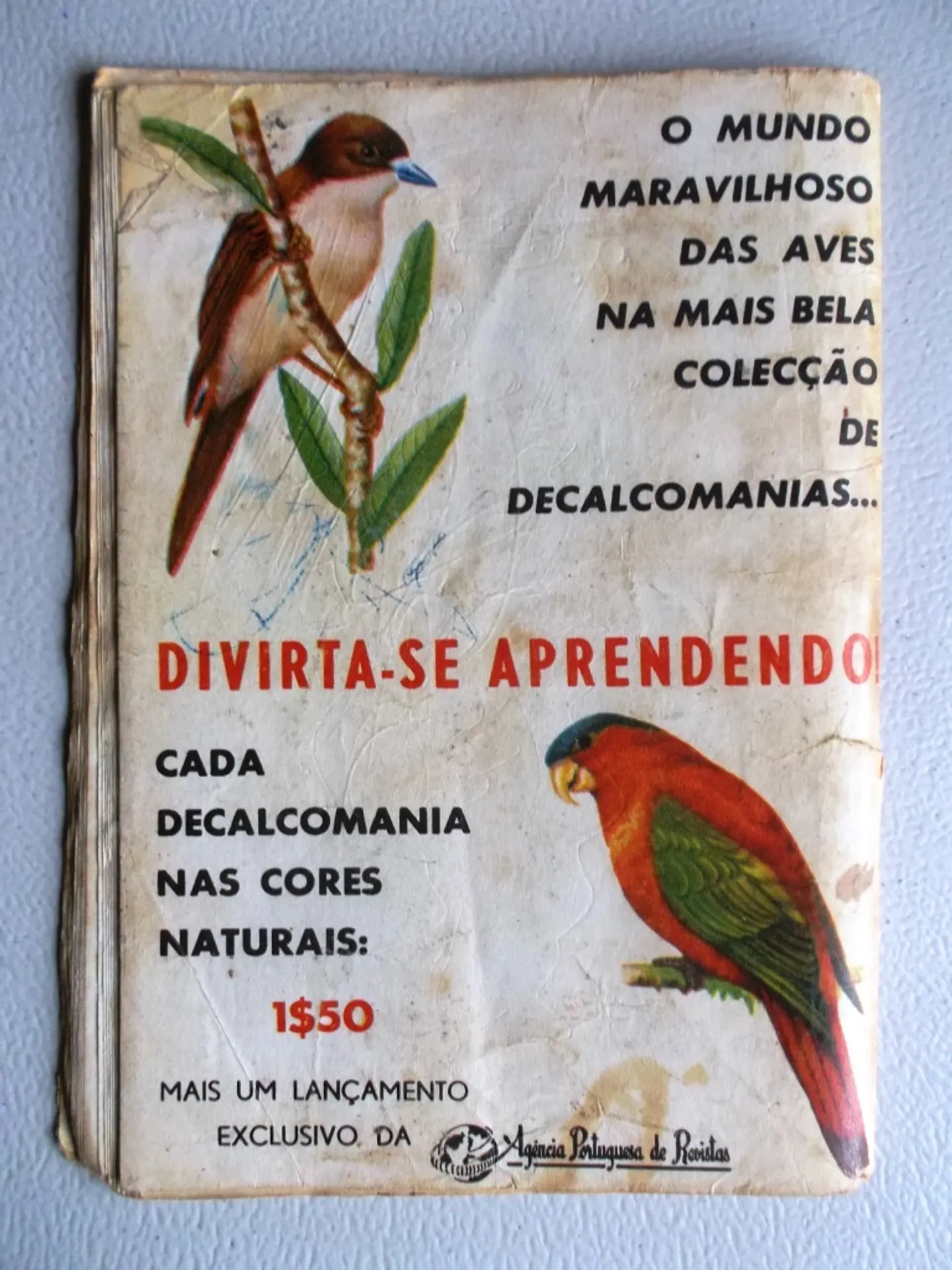 Condor 239 2