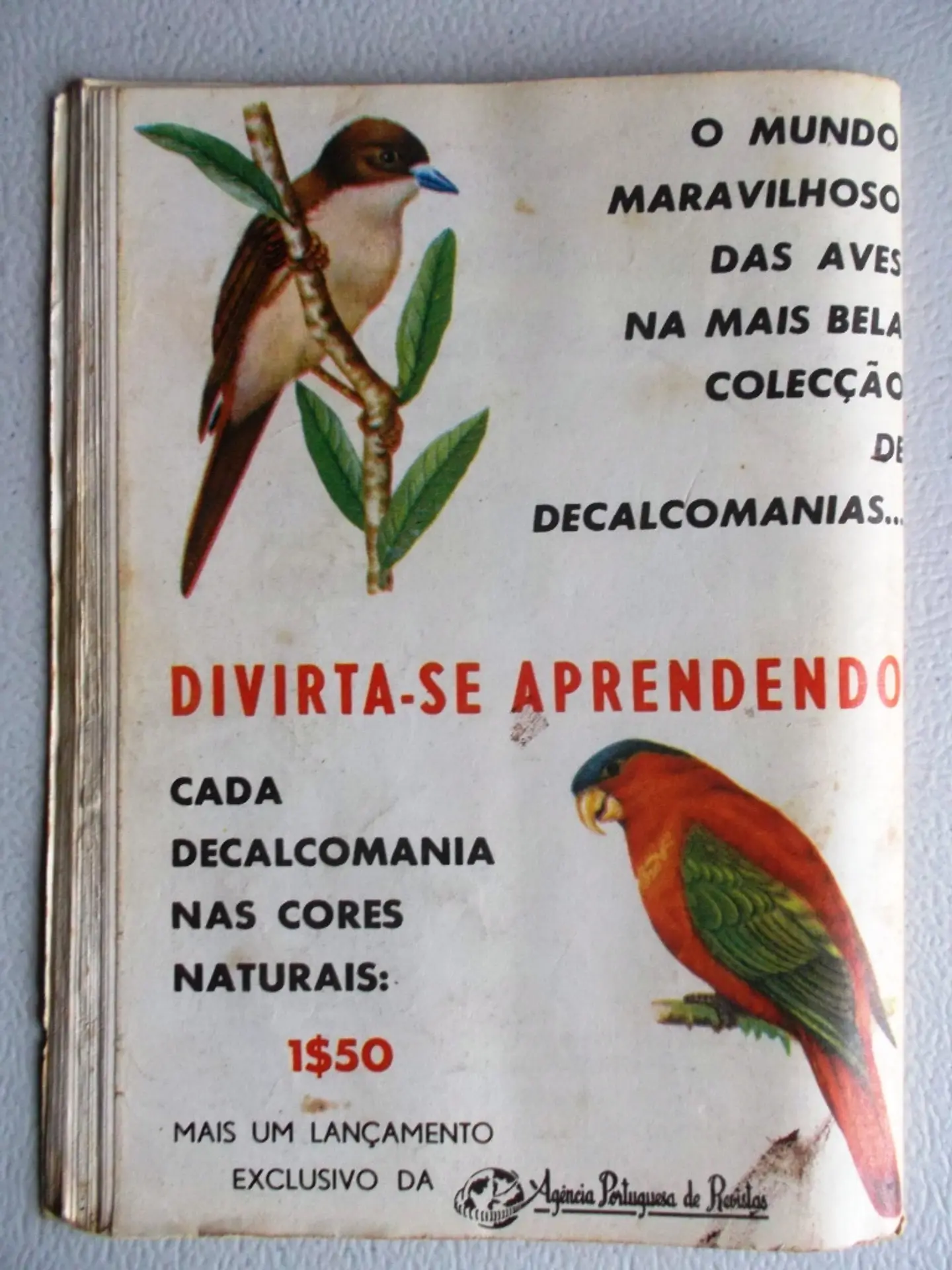 Condor 240 2