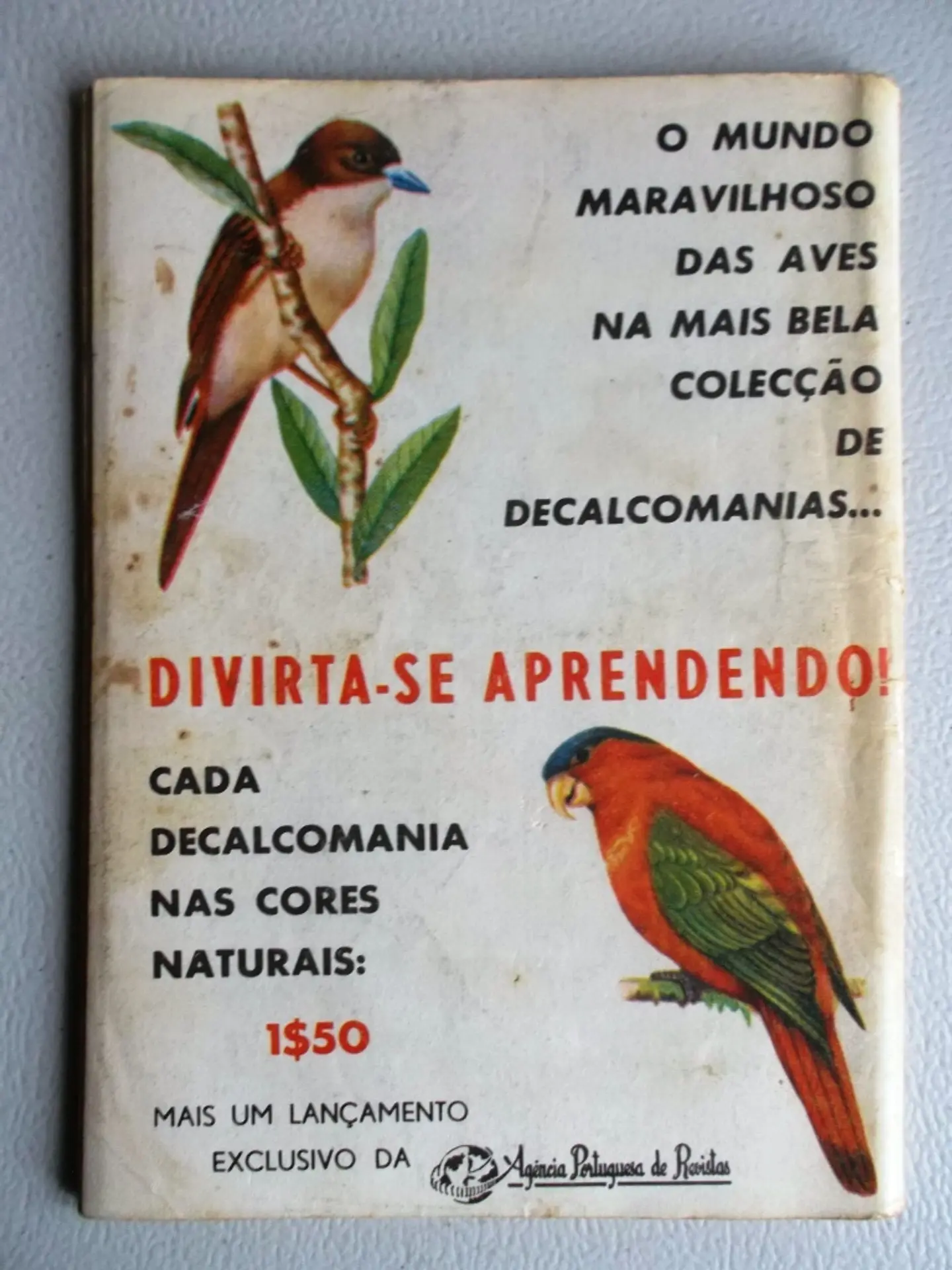 Condor 241 2