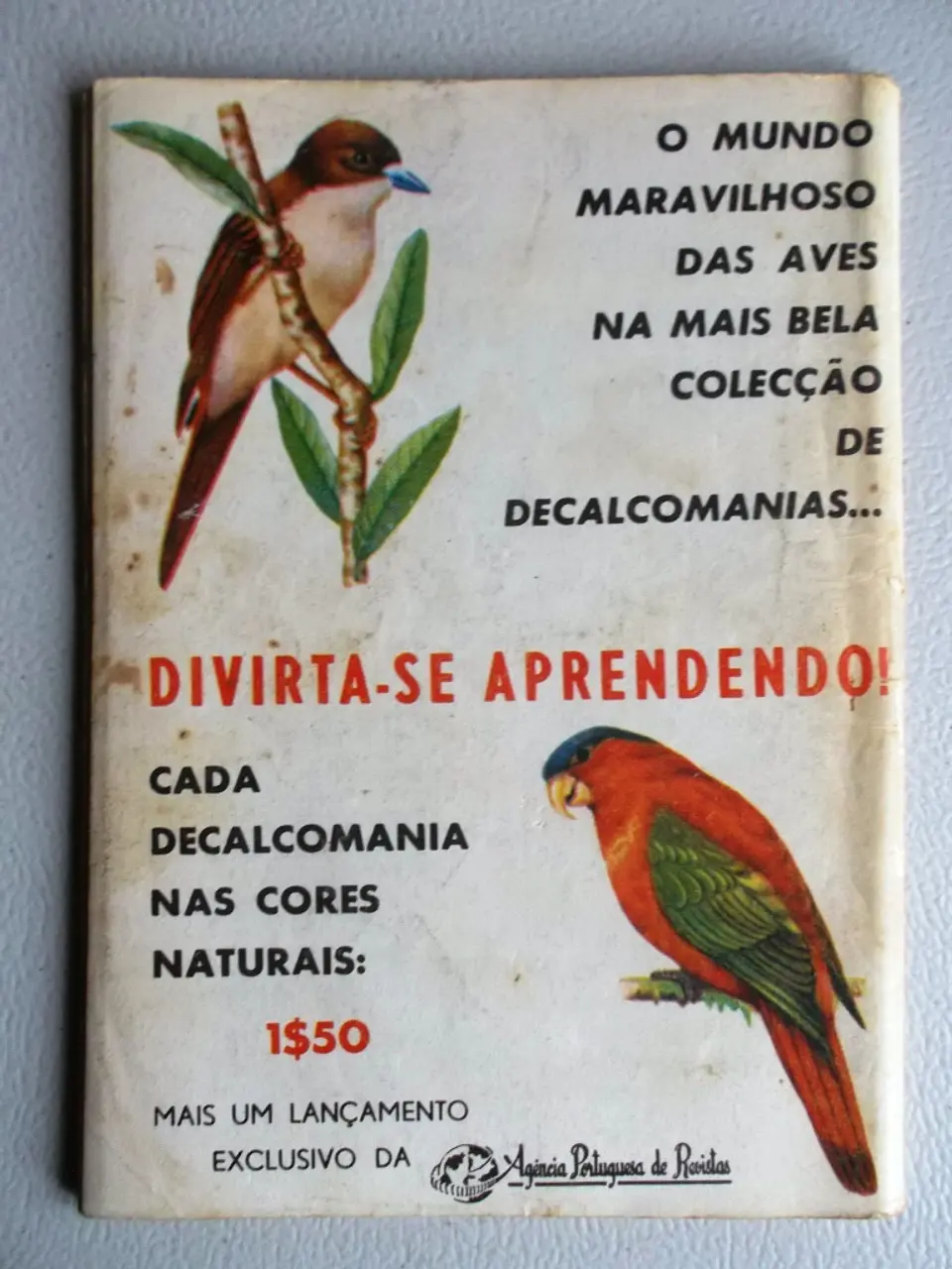 Condor 241 2