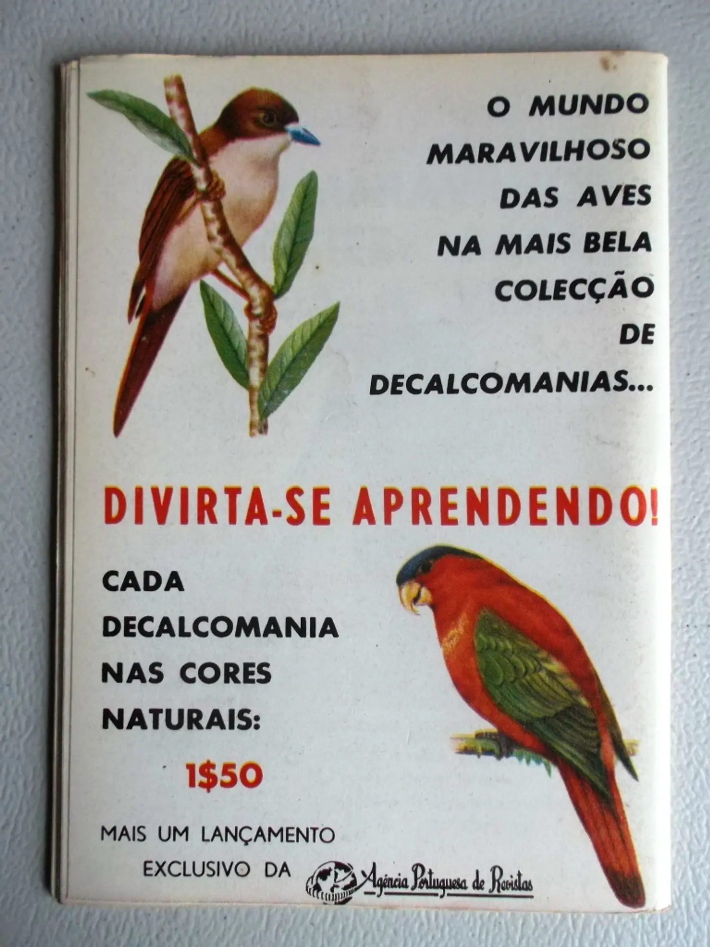 Condor 243 2