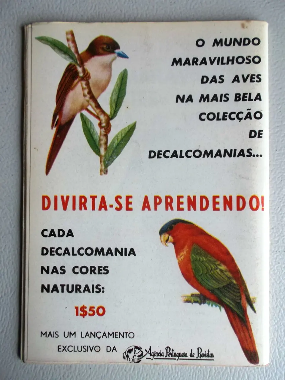 Condor 243 2