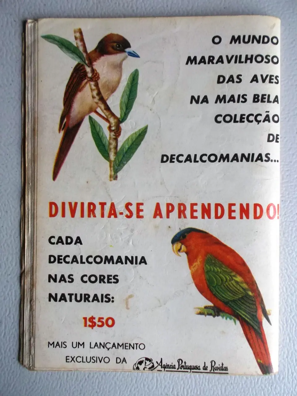 Condor 245 2
